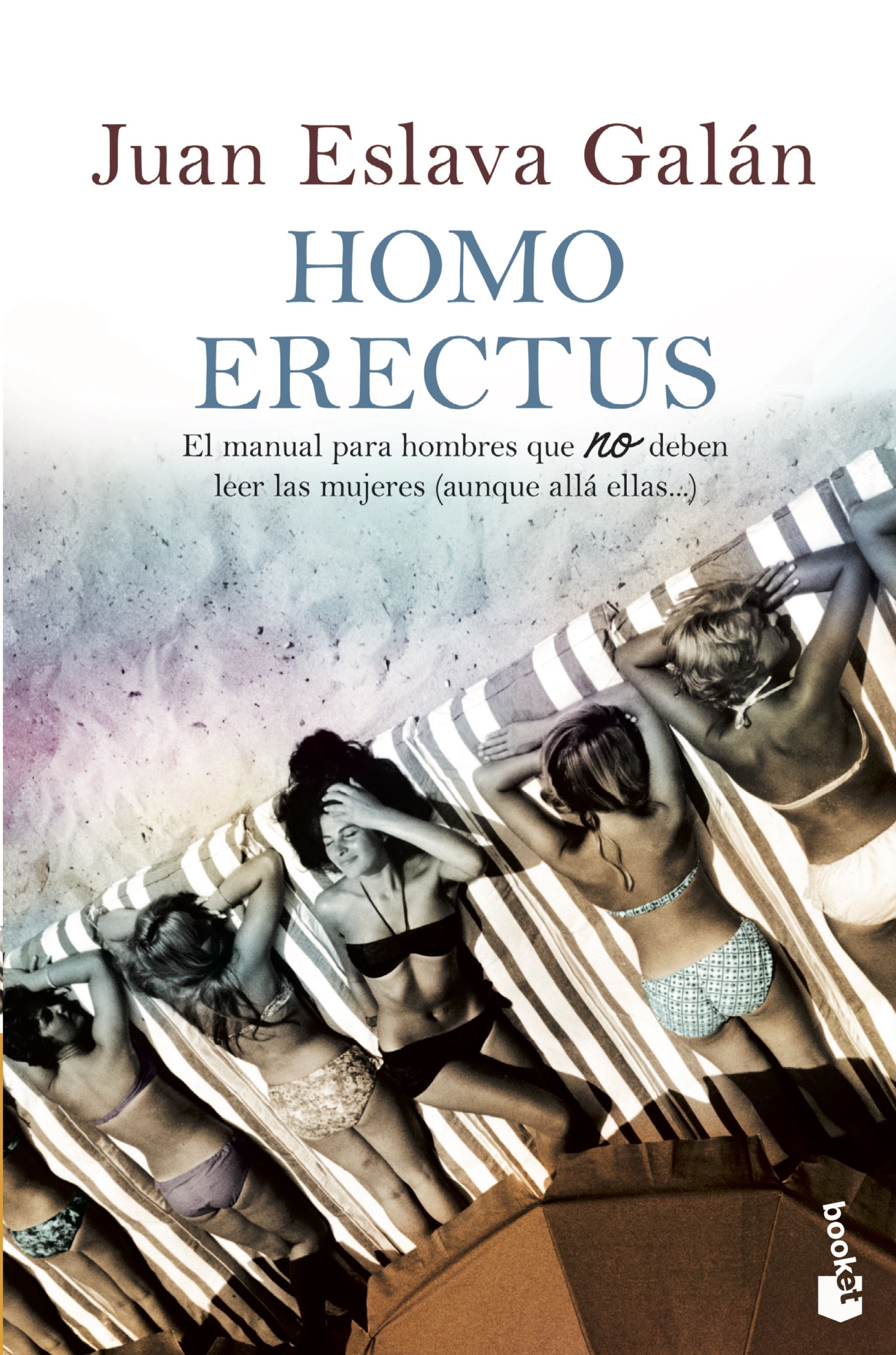 Homo erectus