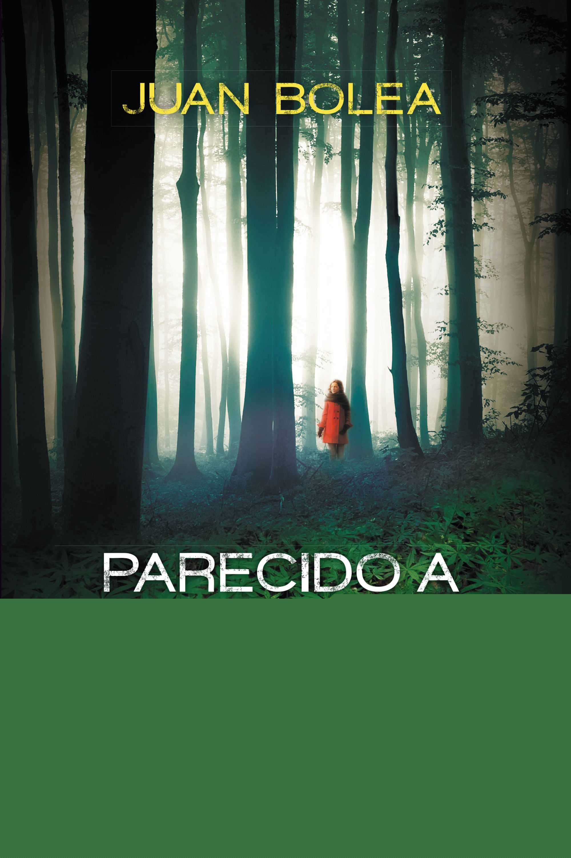 Parecido a un asesinato