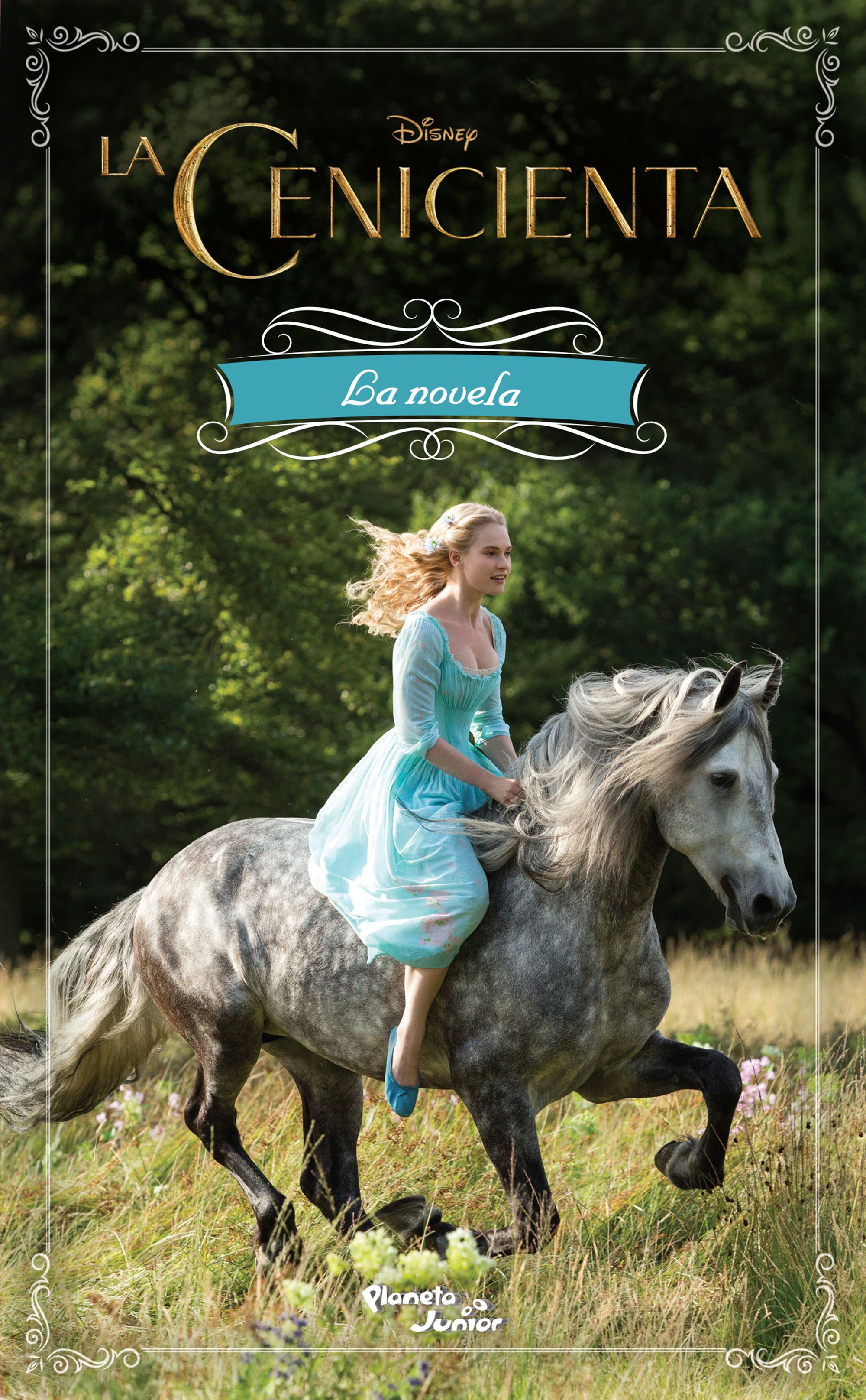 La Cenicienta. La novela