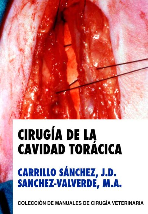 CIRUGIA DE LA CAVIDAD TORACICA