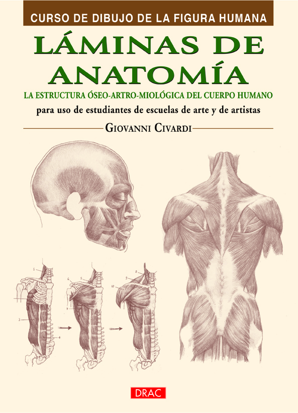 Láminas de anatomía