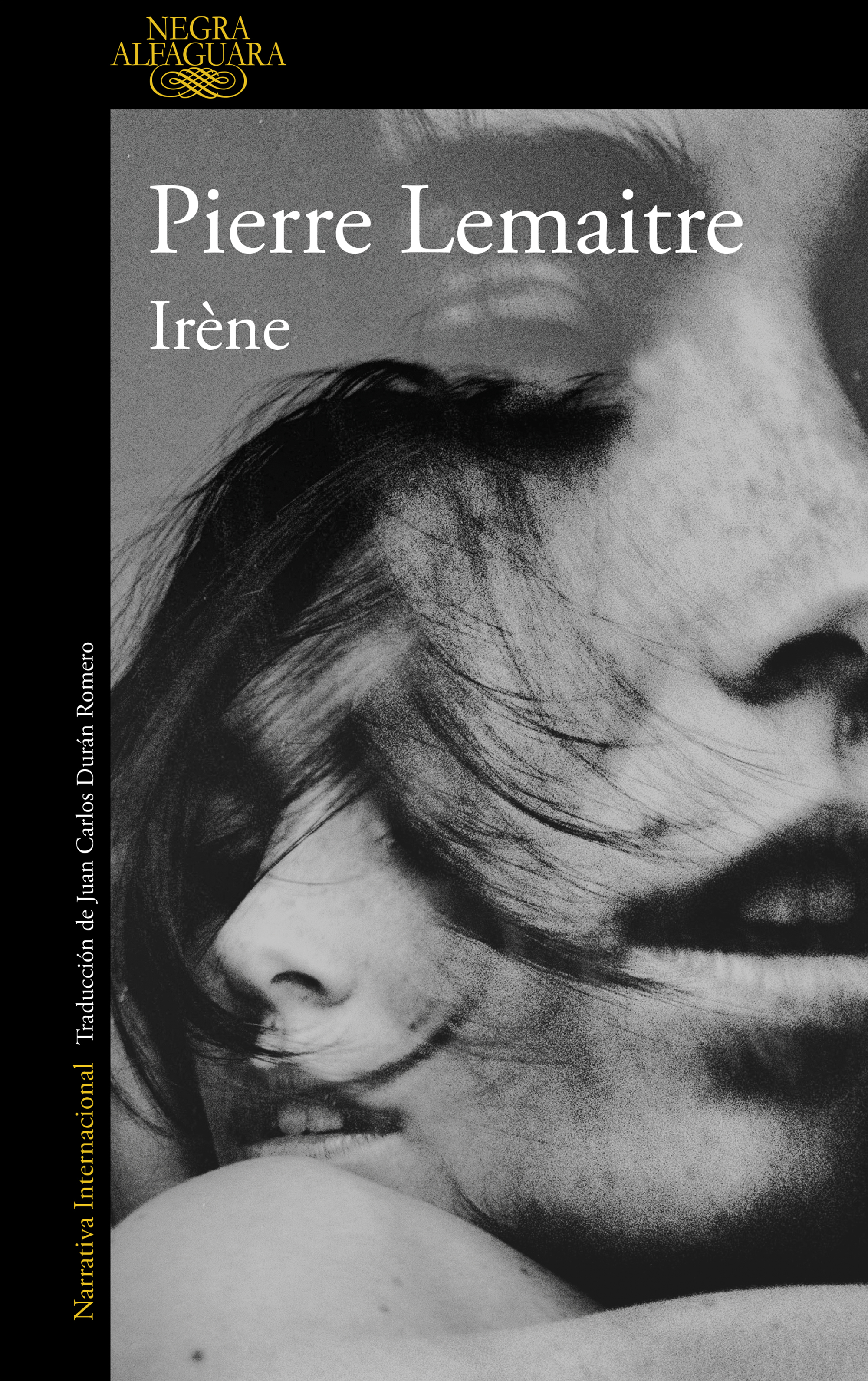Irène ( Un caso del comandante Camille Verhoeven 1 )