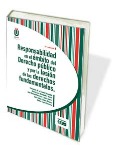 Responsabilidad en el ámbito del derecho público y por la lesión de los derechos fundamentales
