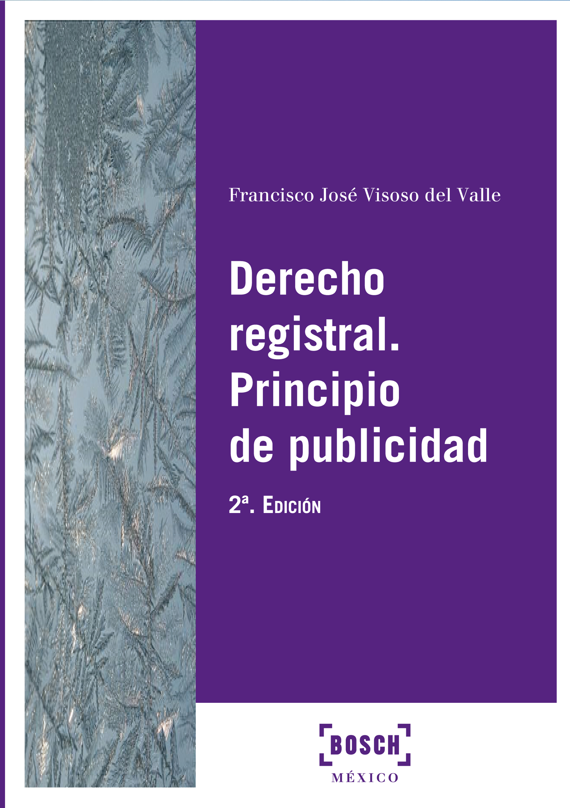 Derecho registral. Principio de Publicidad (2.ª edición)
