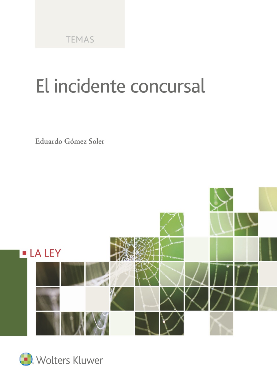 El incidente concursal
