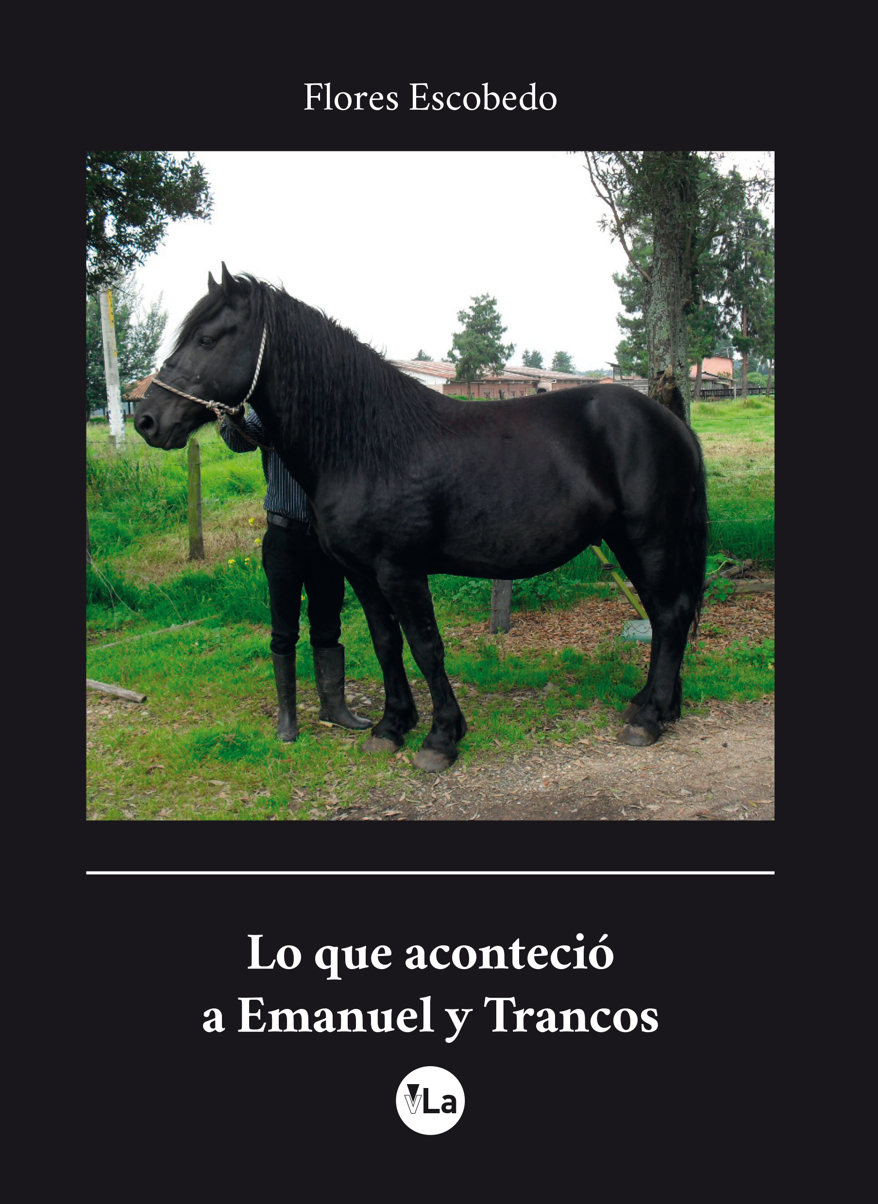 Lo que  aconteció a Emanuel y Trancos