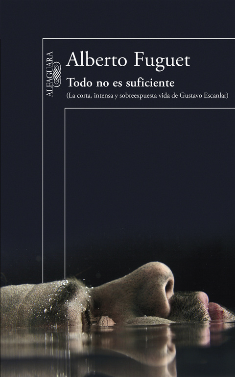 Todo no es suficiente (Mapa de las lenguas)