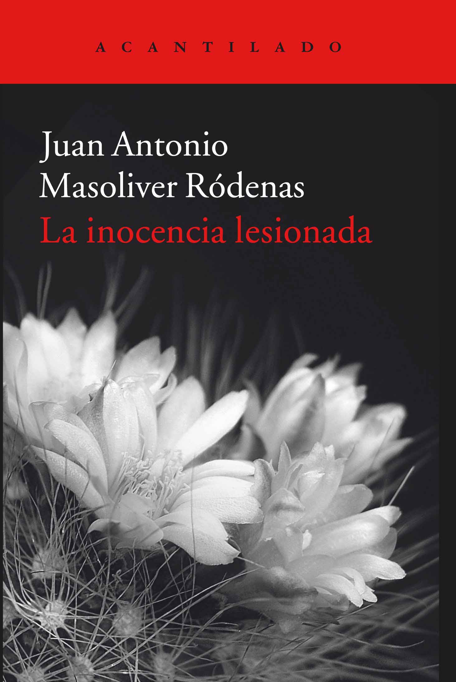 La inocencia lesionada