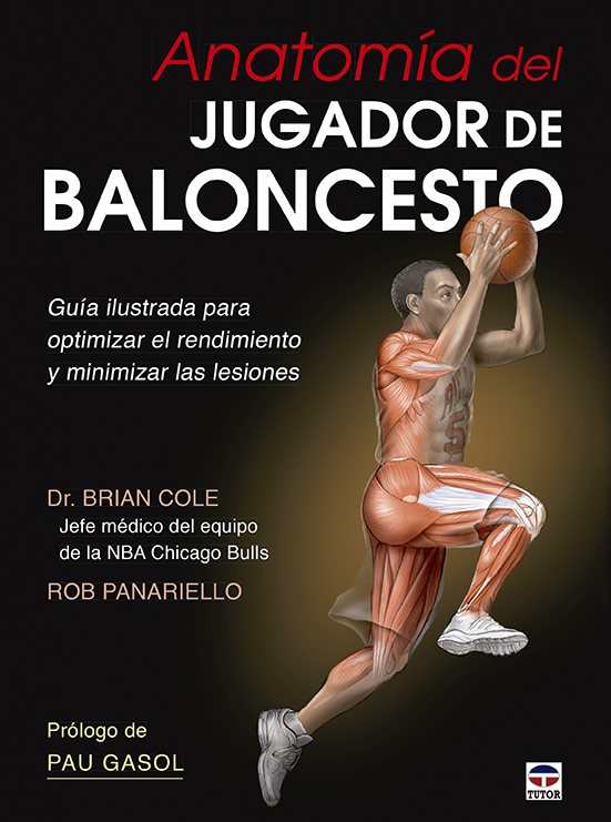 Anatomía del jugador de baloncesto