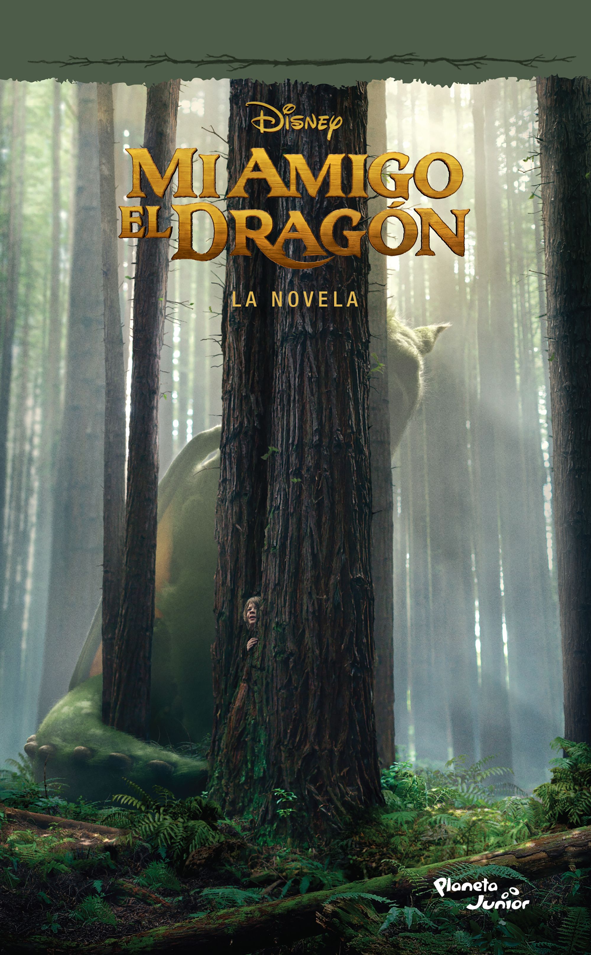 Mi amigo el dragón. La novela