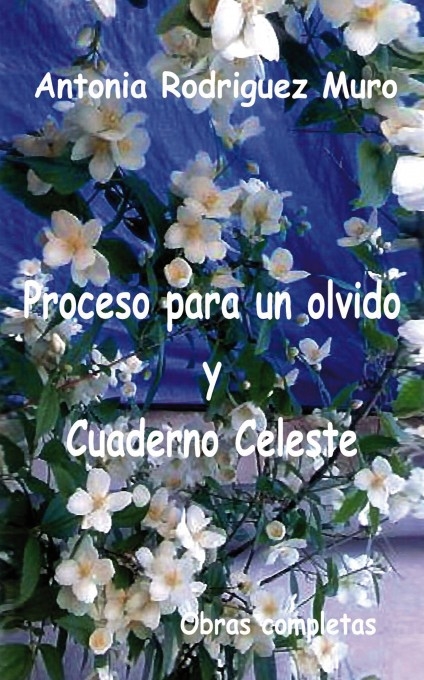 PROCESO PARA UN OLVIDO Y CUADERNO CELESTE.