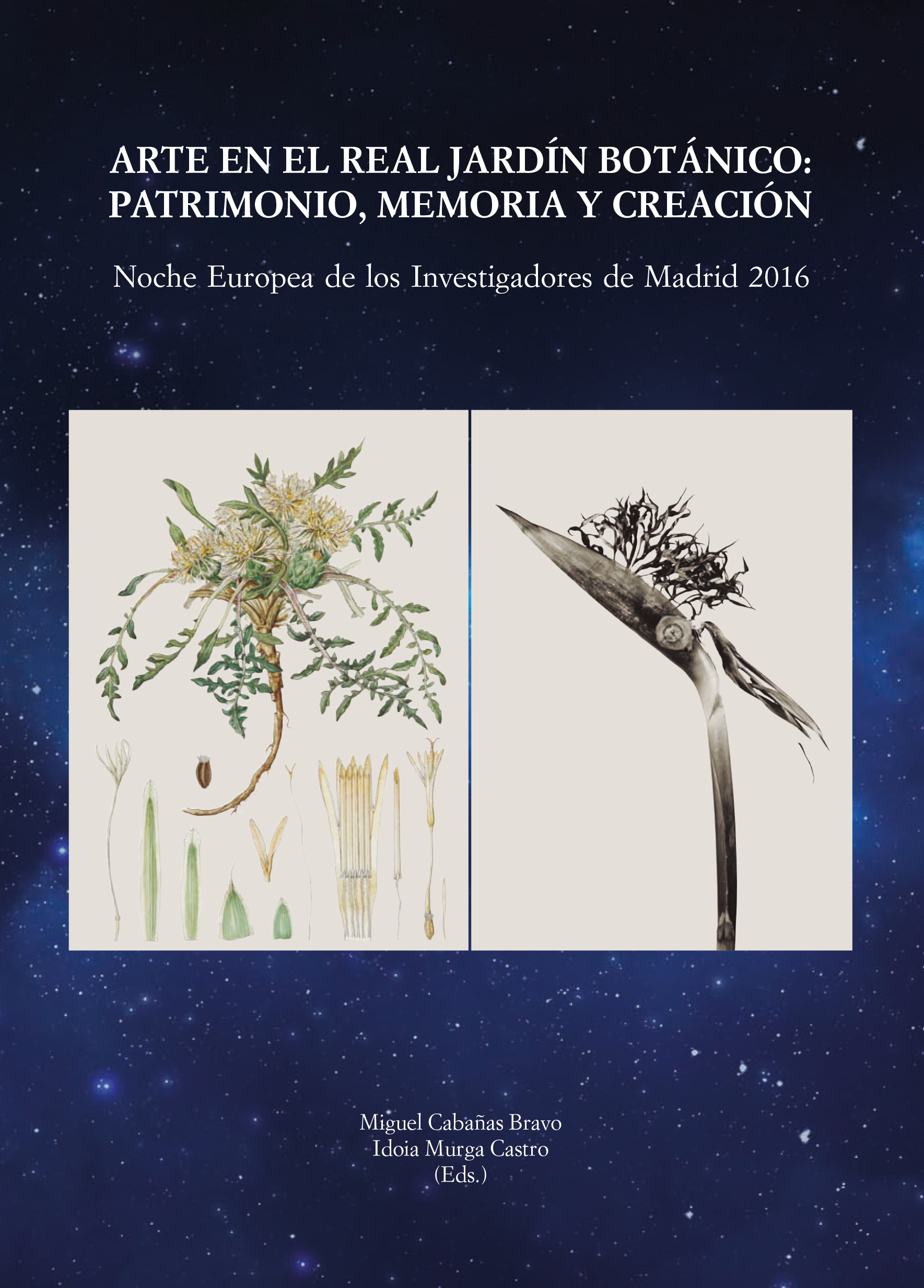Arte en el Real Jardín Botánico: Patrimonio, Memoria y Creación