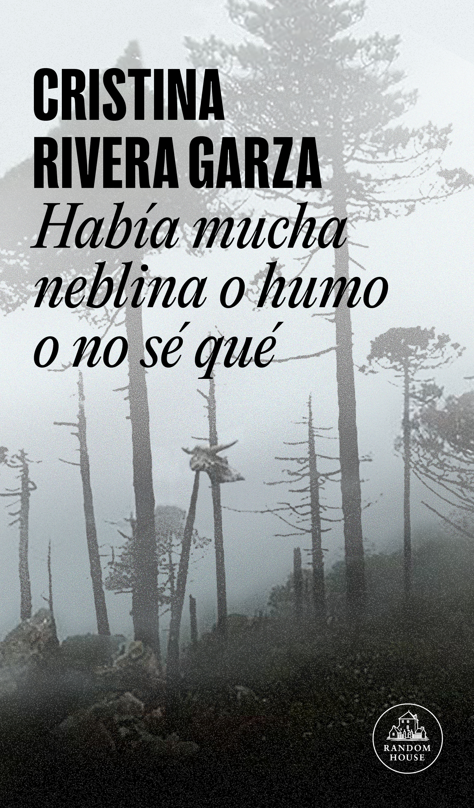 Había mucha neblina o humo o no sé qué