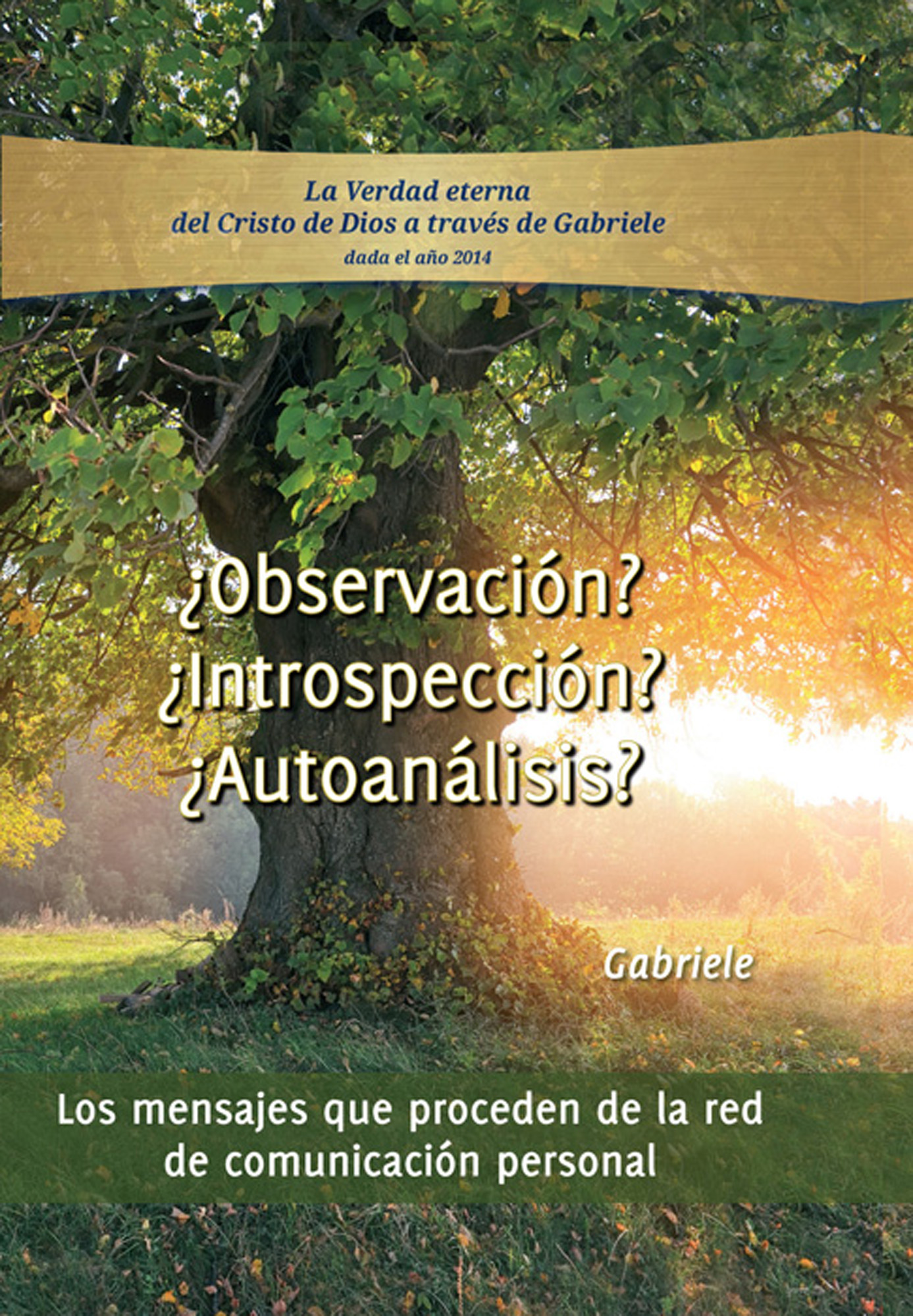 ¿Observación? ¿Introspección? ¿Autoanálisis?