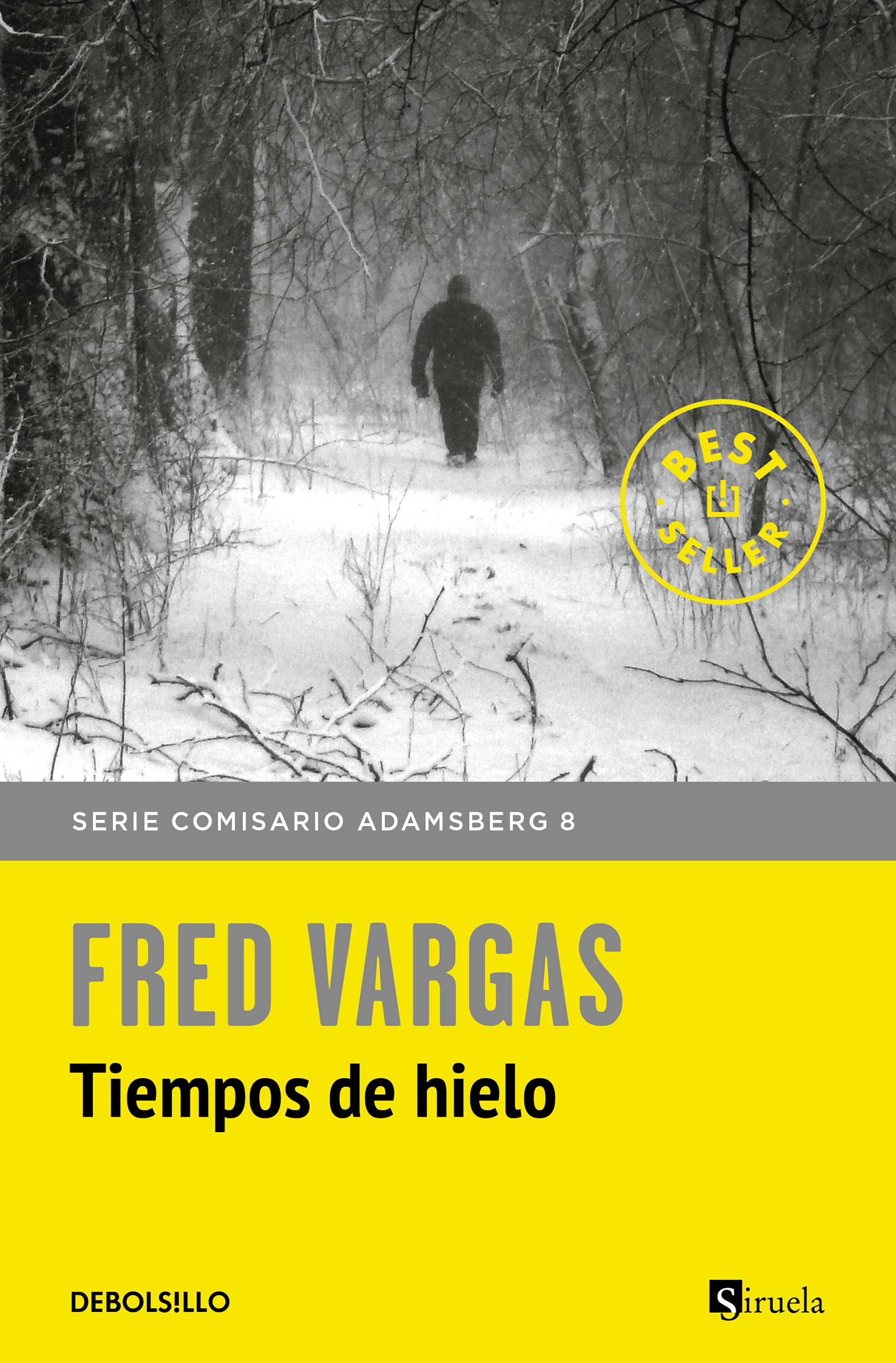 Tiempos de hielo (Comisario Adamsberg 8)