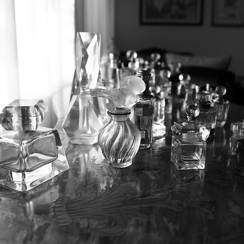 El poder de los aromas