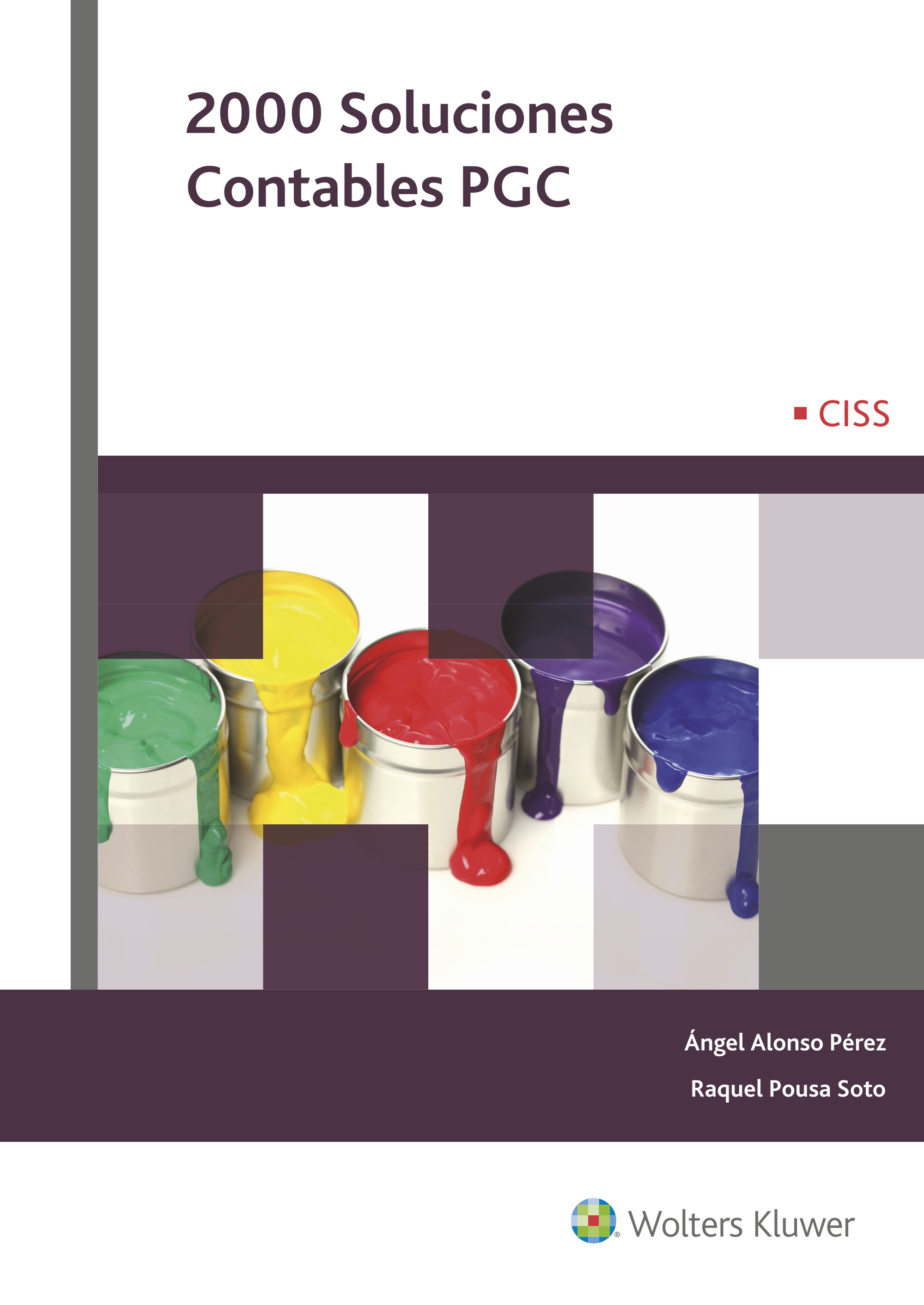 2000 soluciones contables PGC 2016