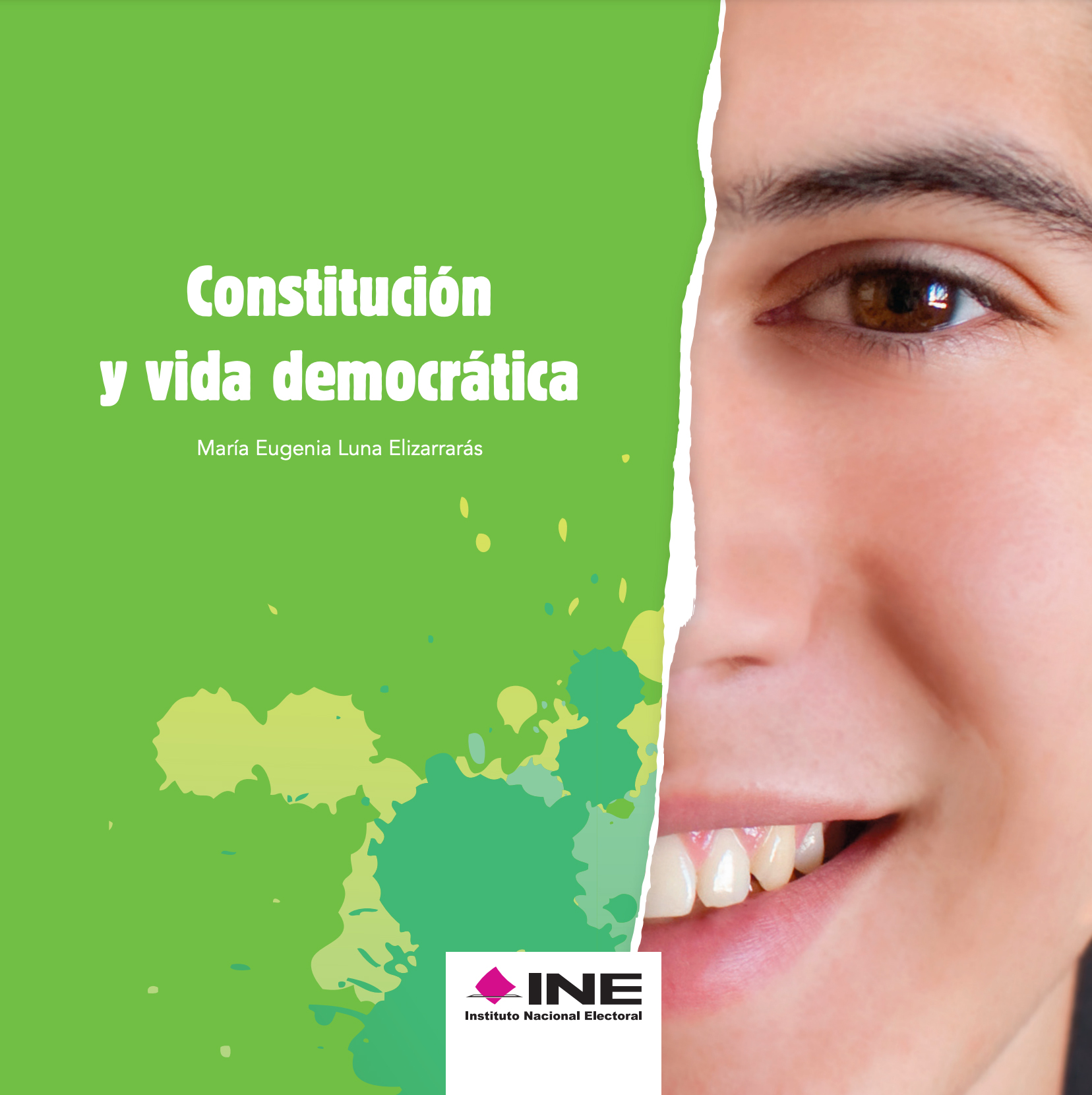 Constitución y vida democrática