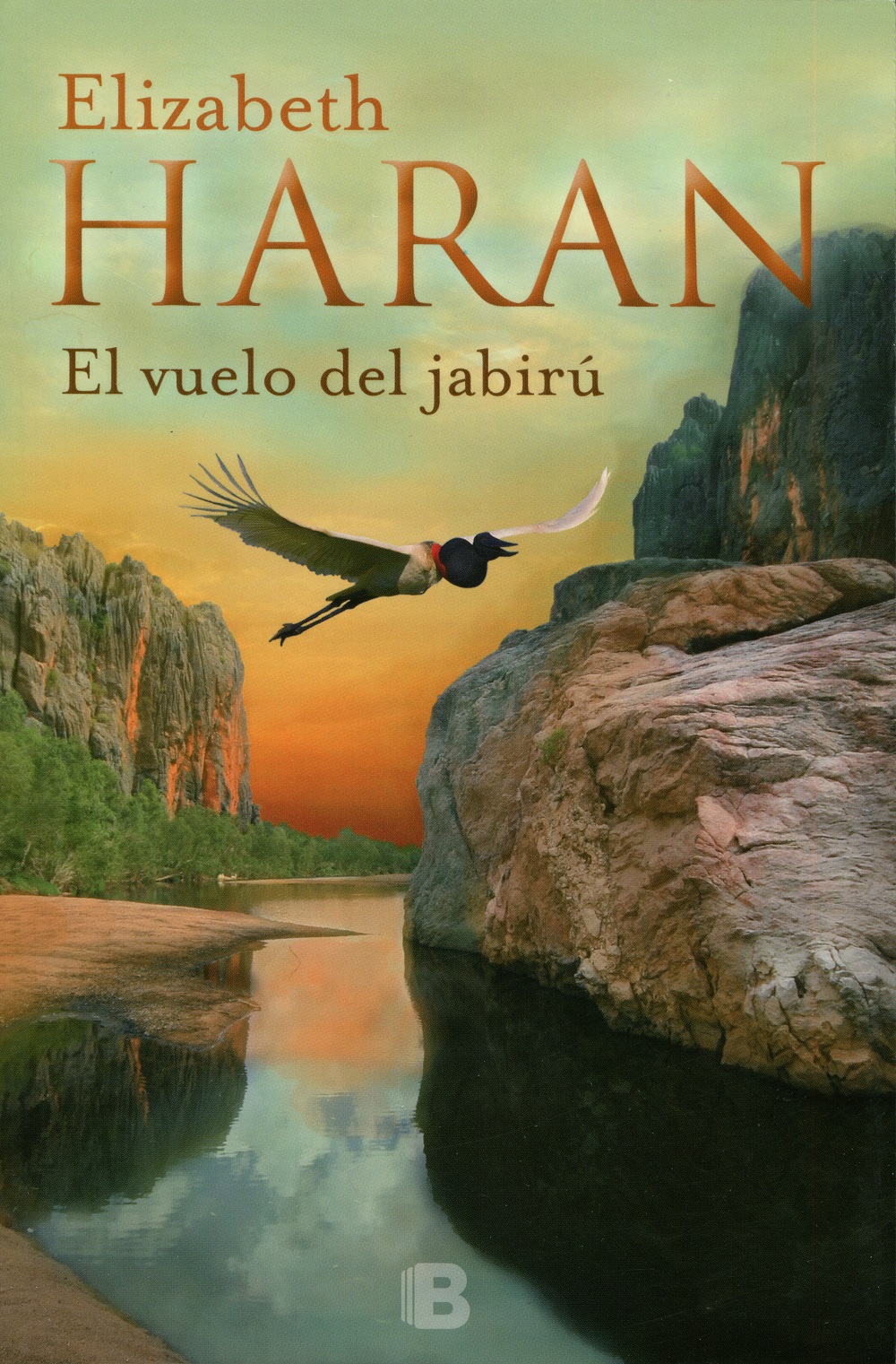 El vuelo del jabirú
