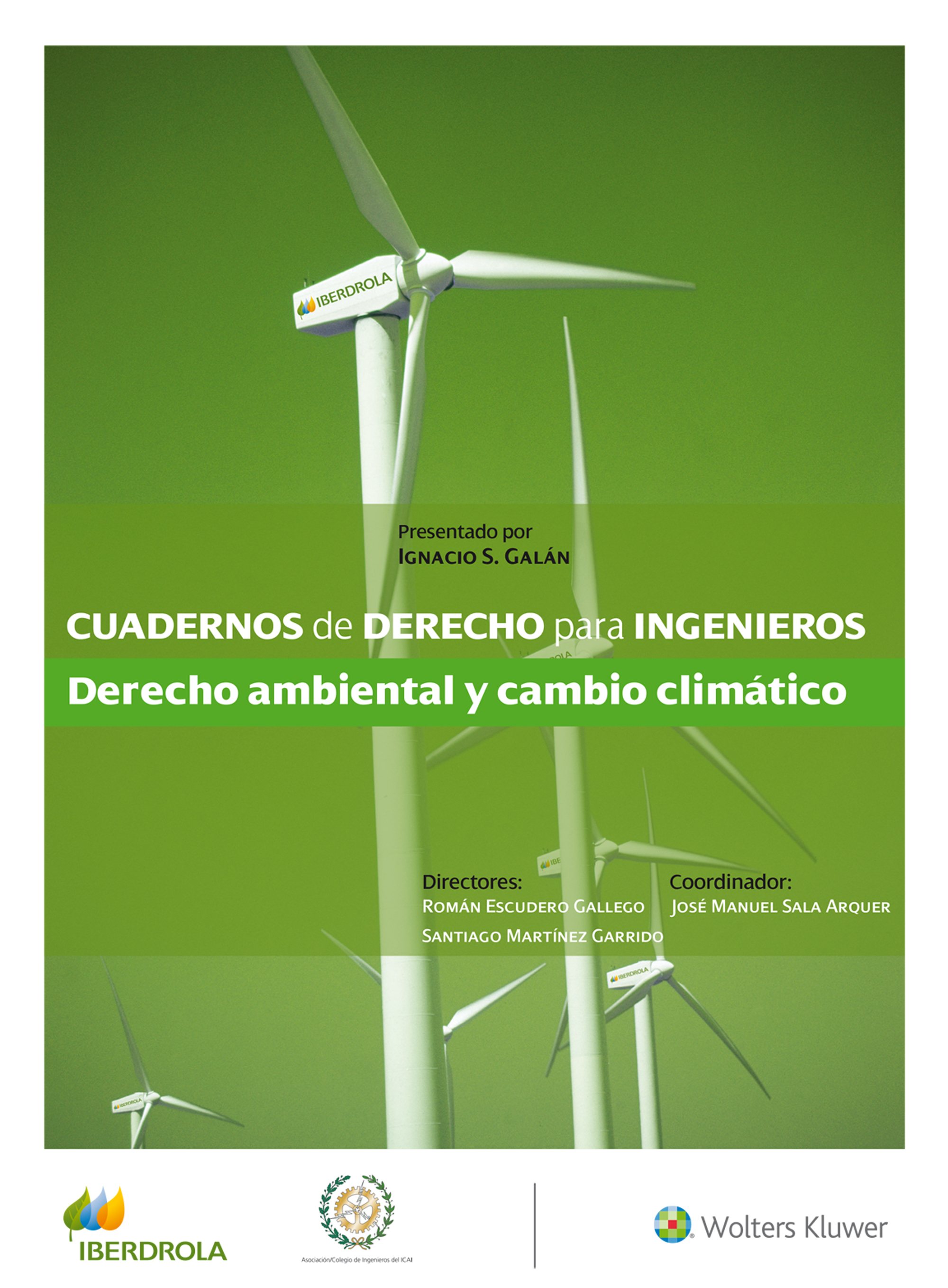 Cuadernos de Derecho para Ingenieros (n.º 41)