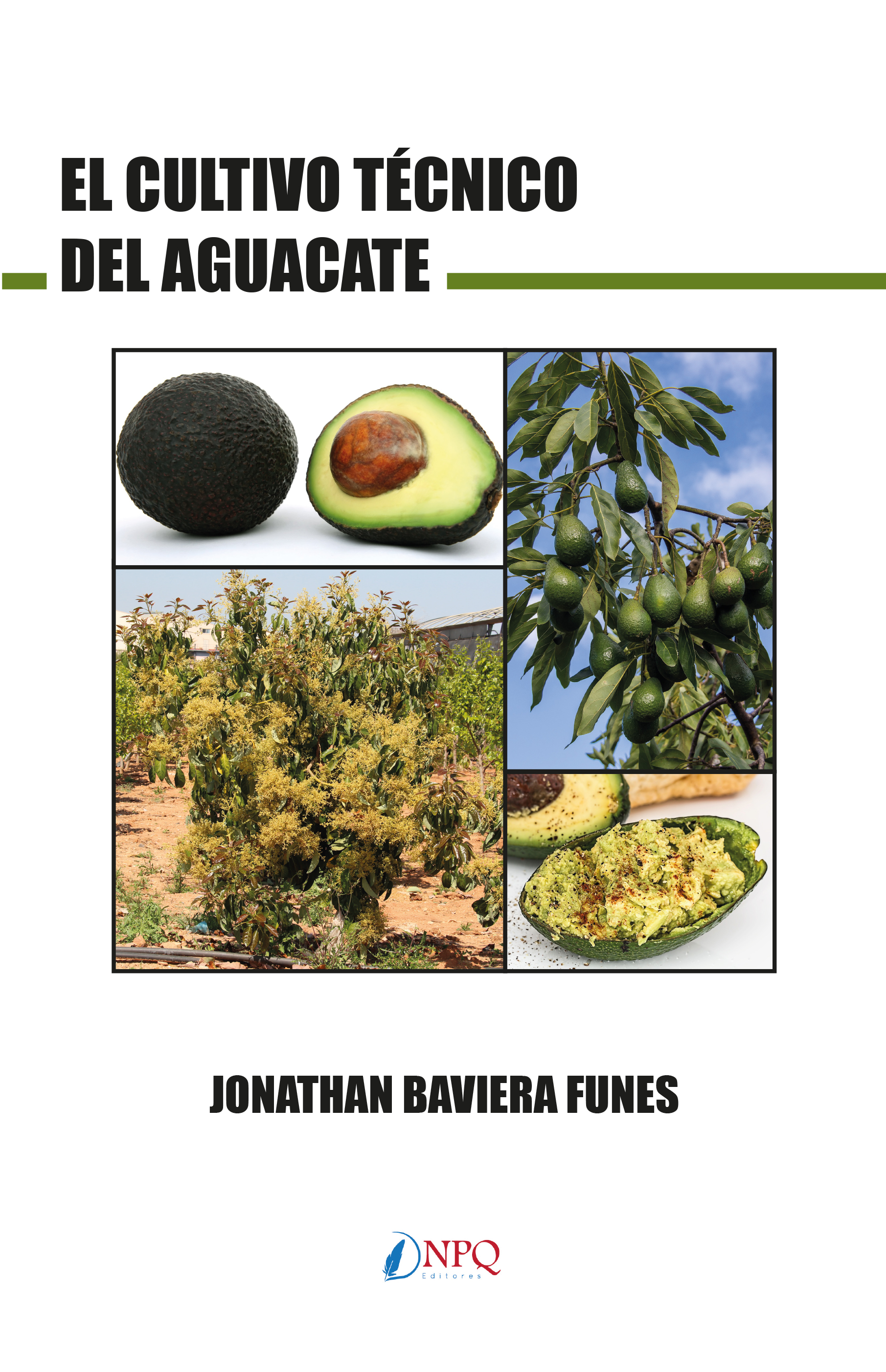 El cultivo del aguacate