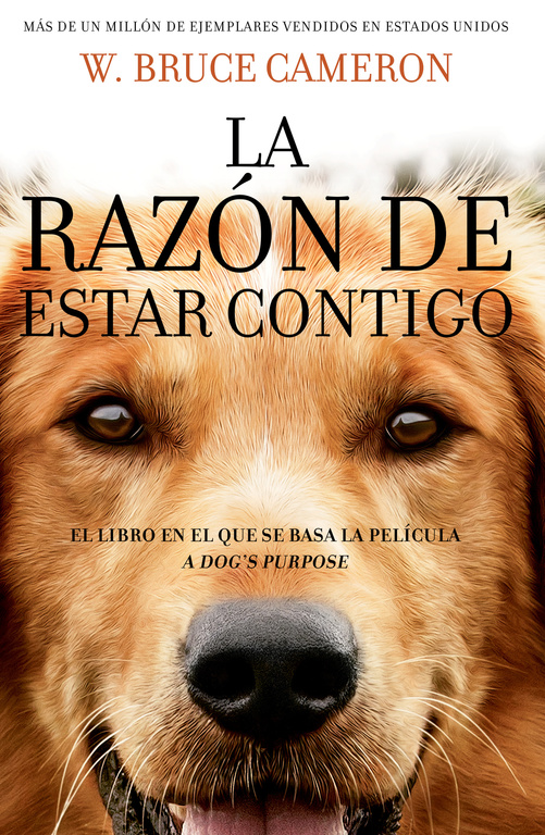 La razón de estar contigo