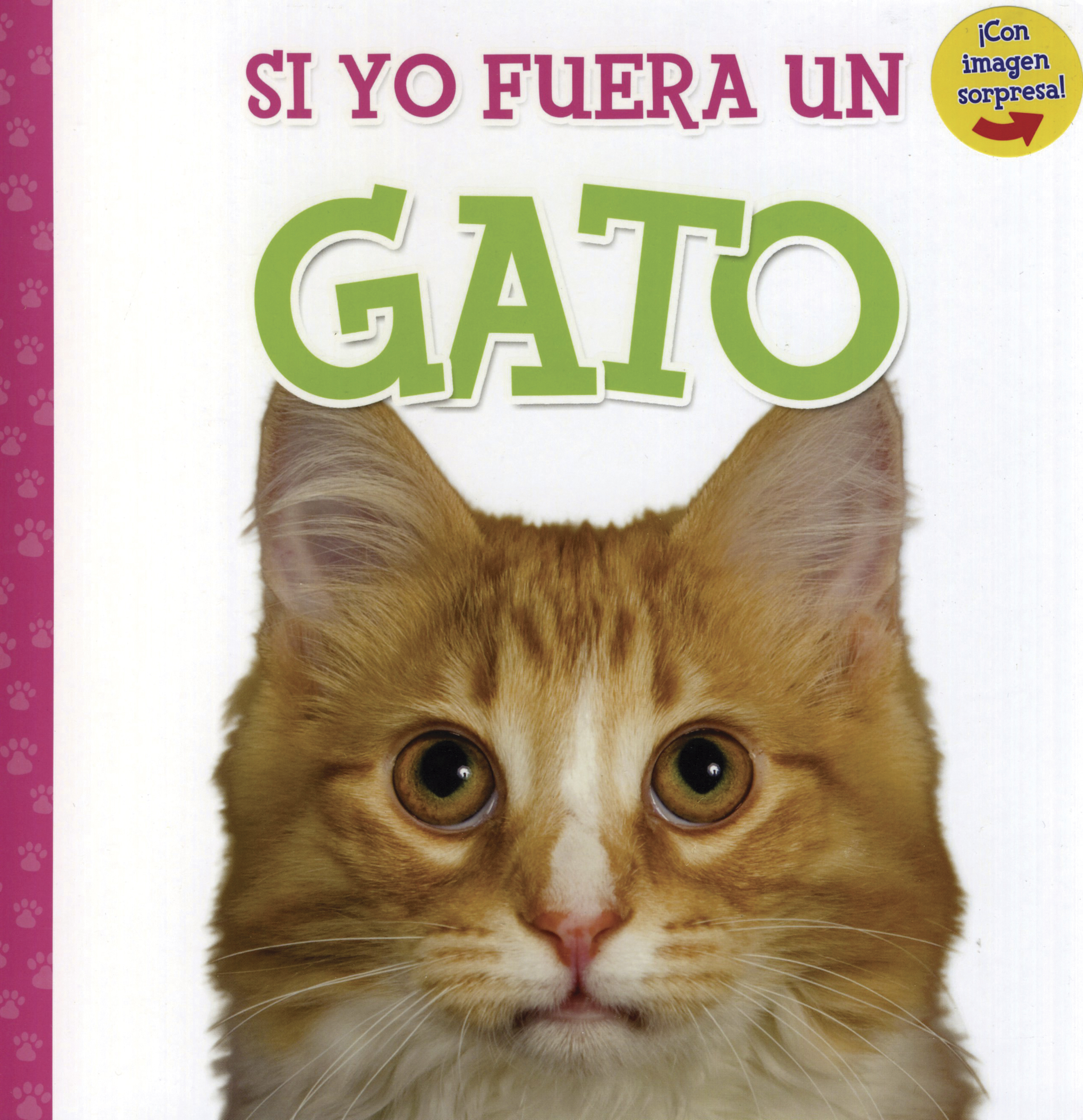 Si Yo Fuera Un Gato