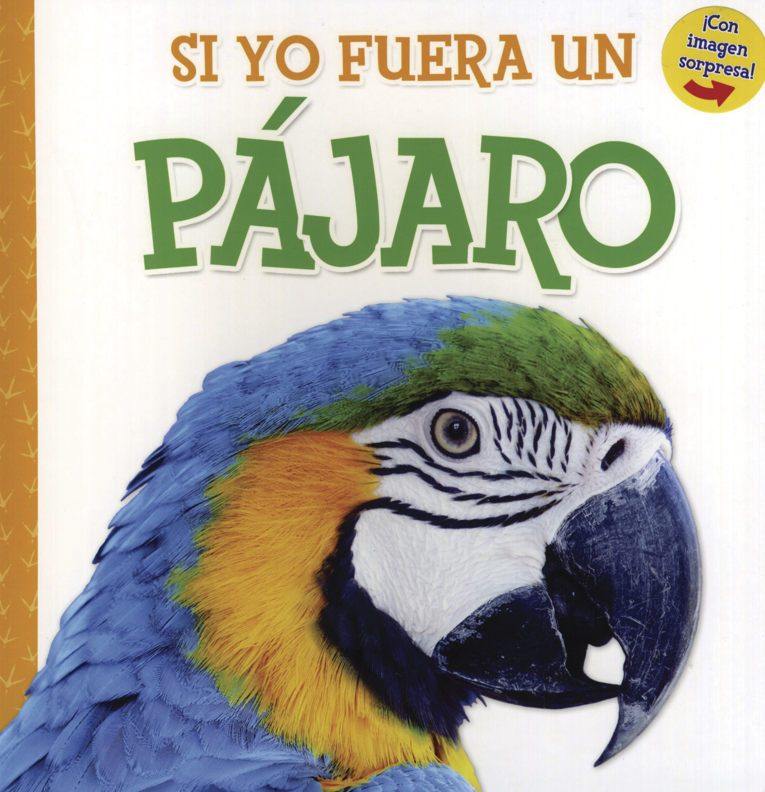 Si Yo Fuera Un Pajaro