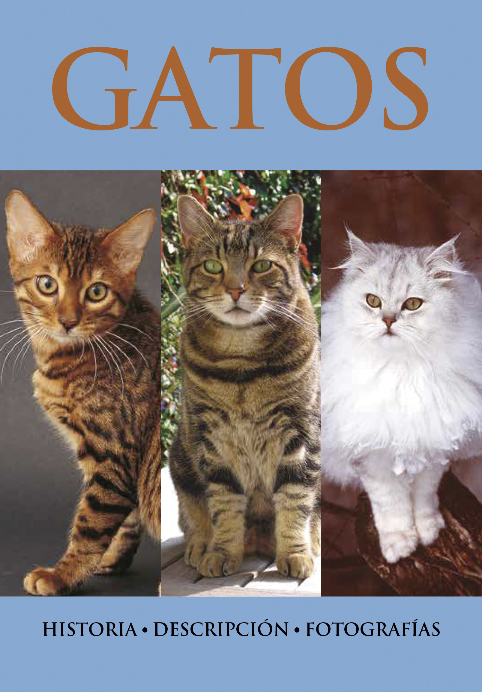 Pocket Guide: Gatos