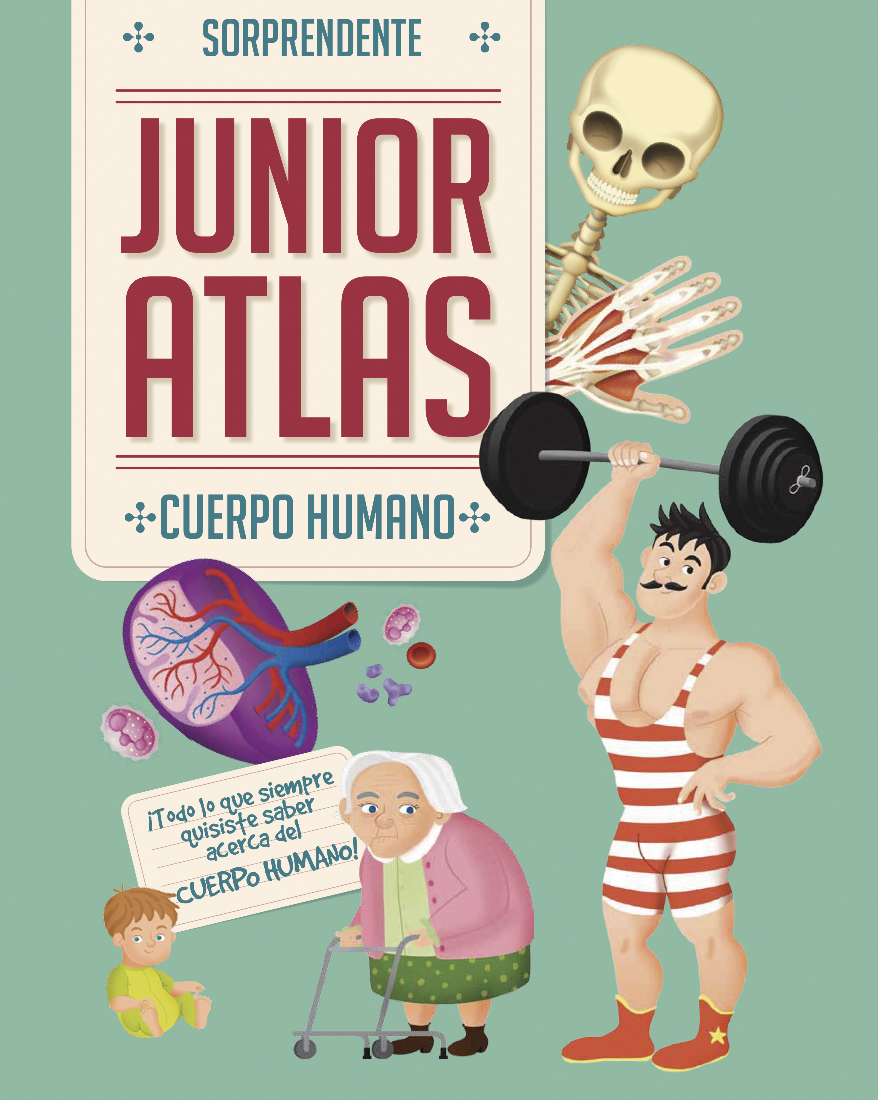 Sorprendente Junior Atlas: Cuerpo Humano