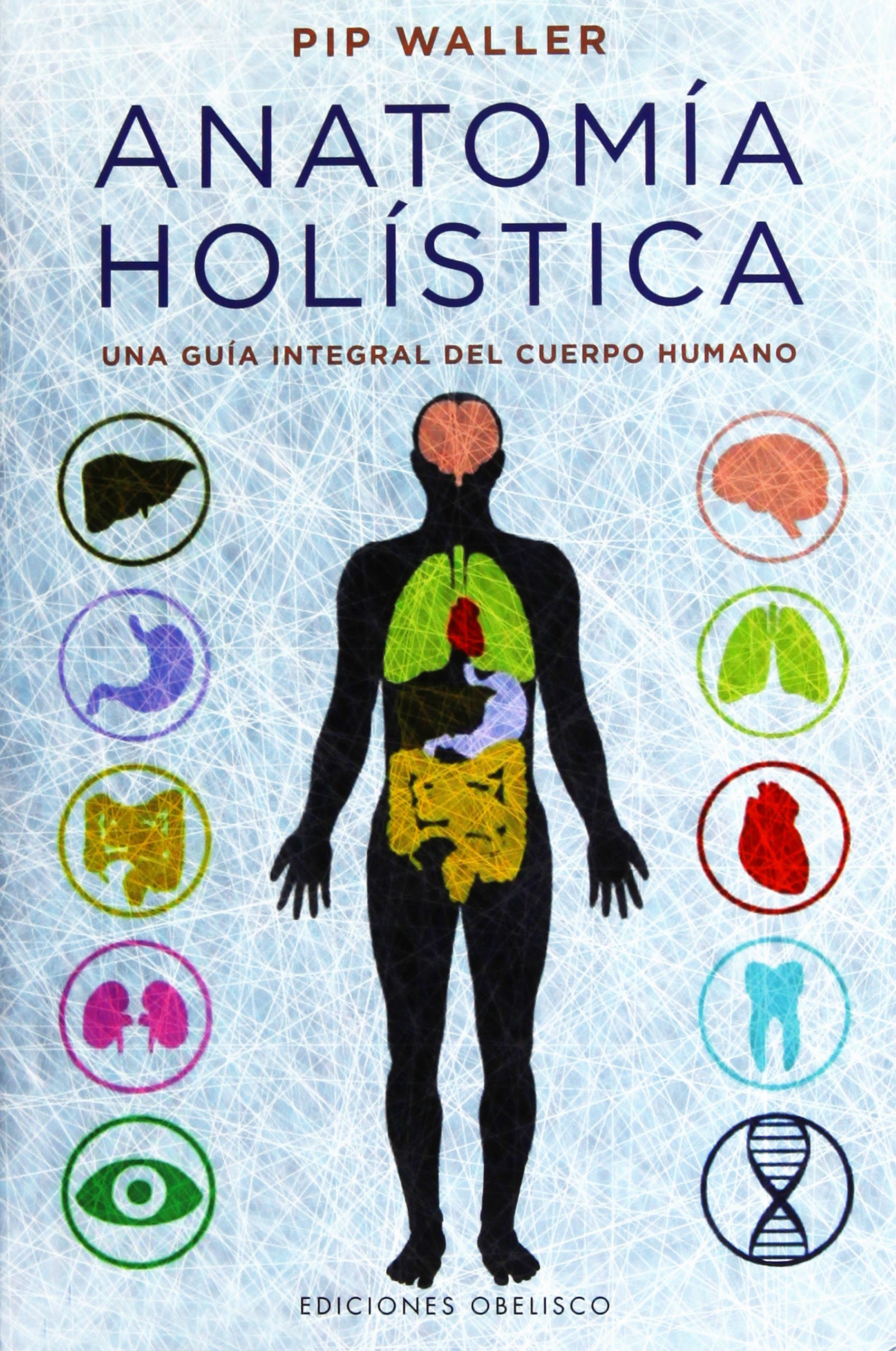 Anatomía holística