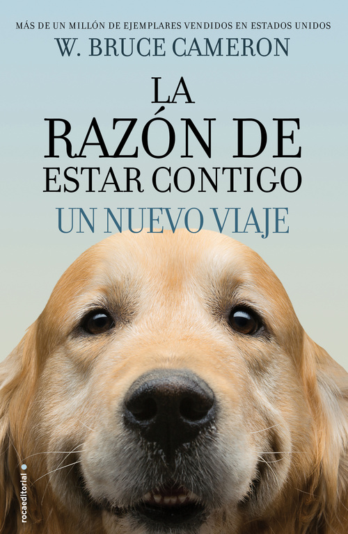 Un nuevo viaje