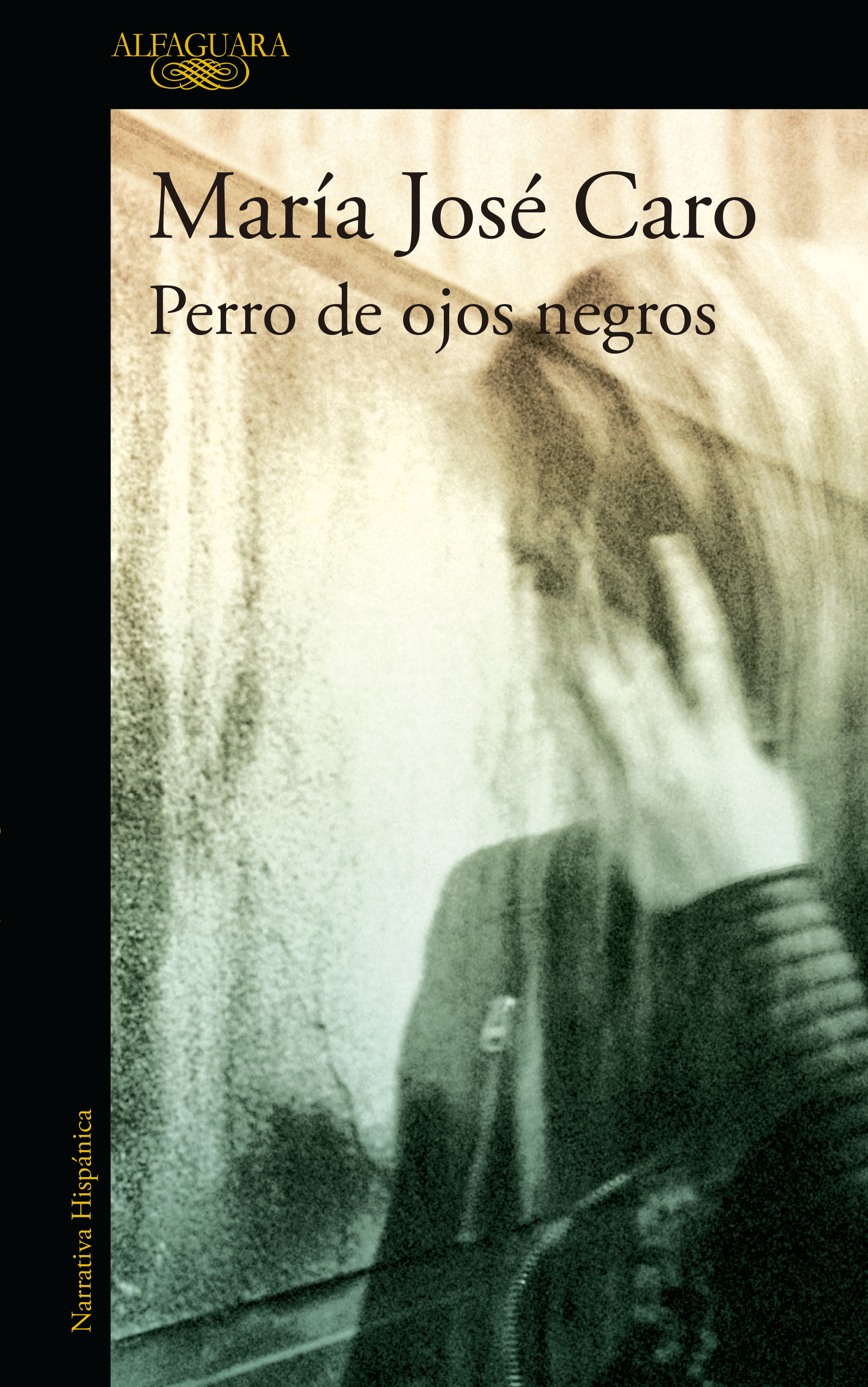 Perro de ojos negros