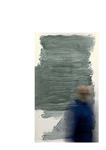 CAMINANDO SOBRE LA TIERRA ENTRE ÁRBOLES Y PIEDRAS