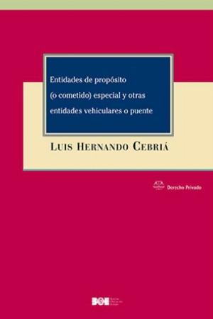 Entidades de propósito y otras entidades vehiculares o puente