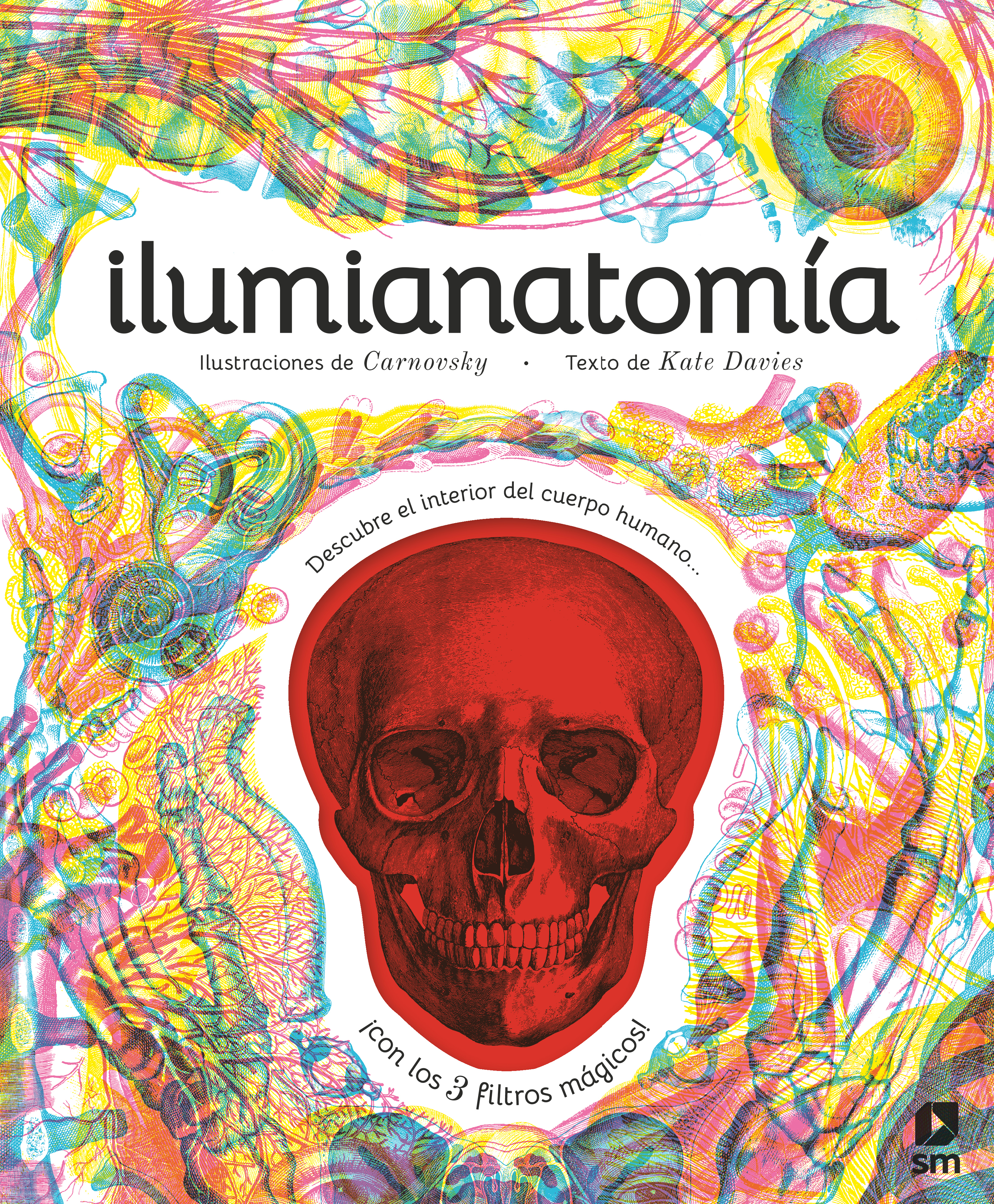 Ilumianatomía