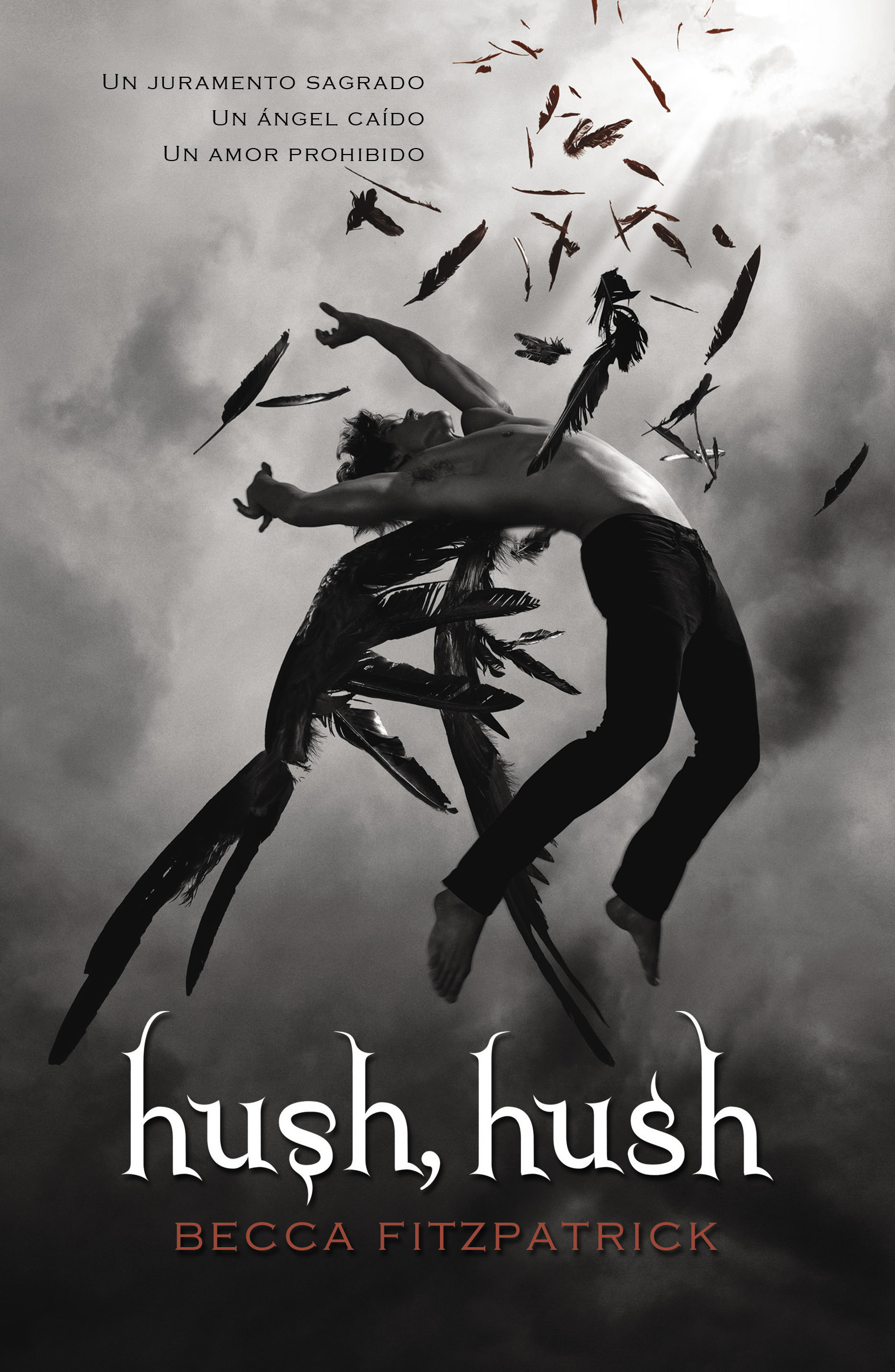 Saga Hush, Hush 1 - Hush, hush