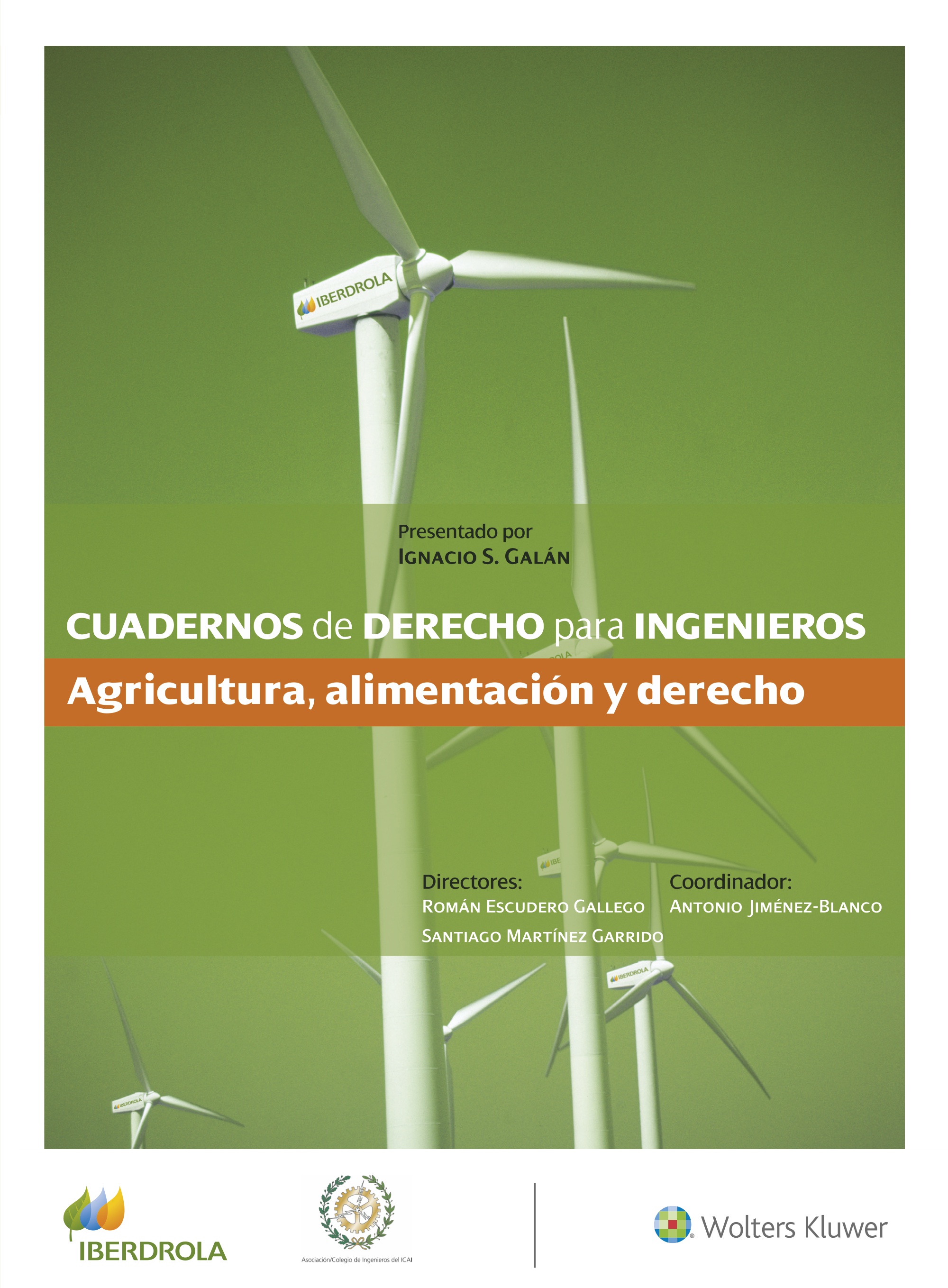 Cuadernos de Derecho para Ingenieros (n.º 47)