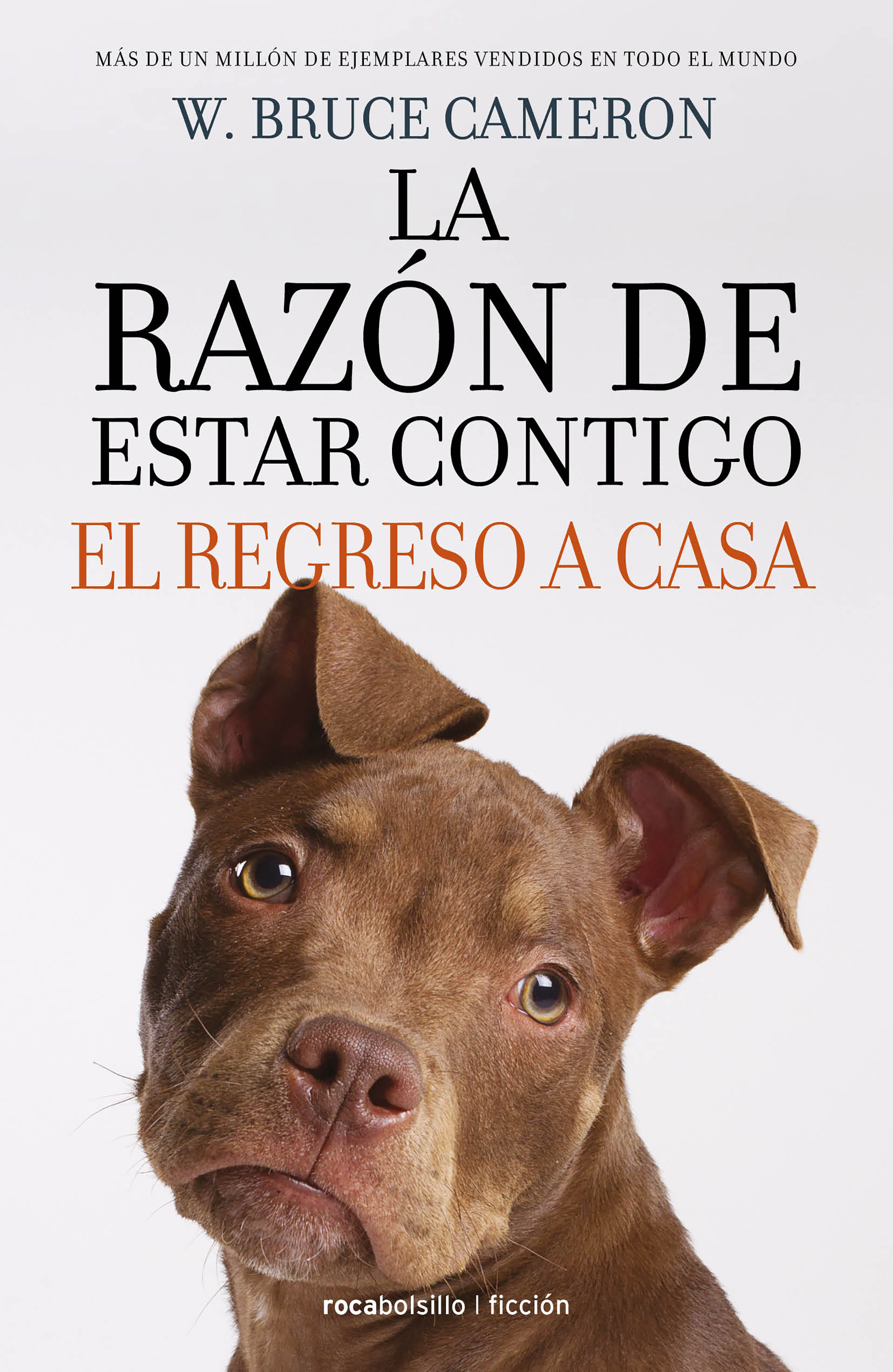 El regreso a casa