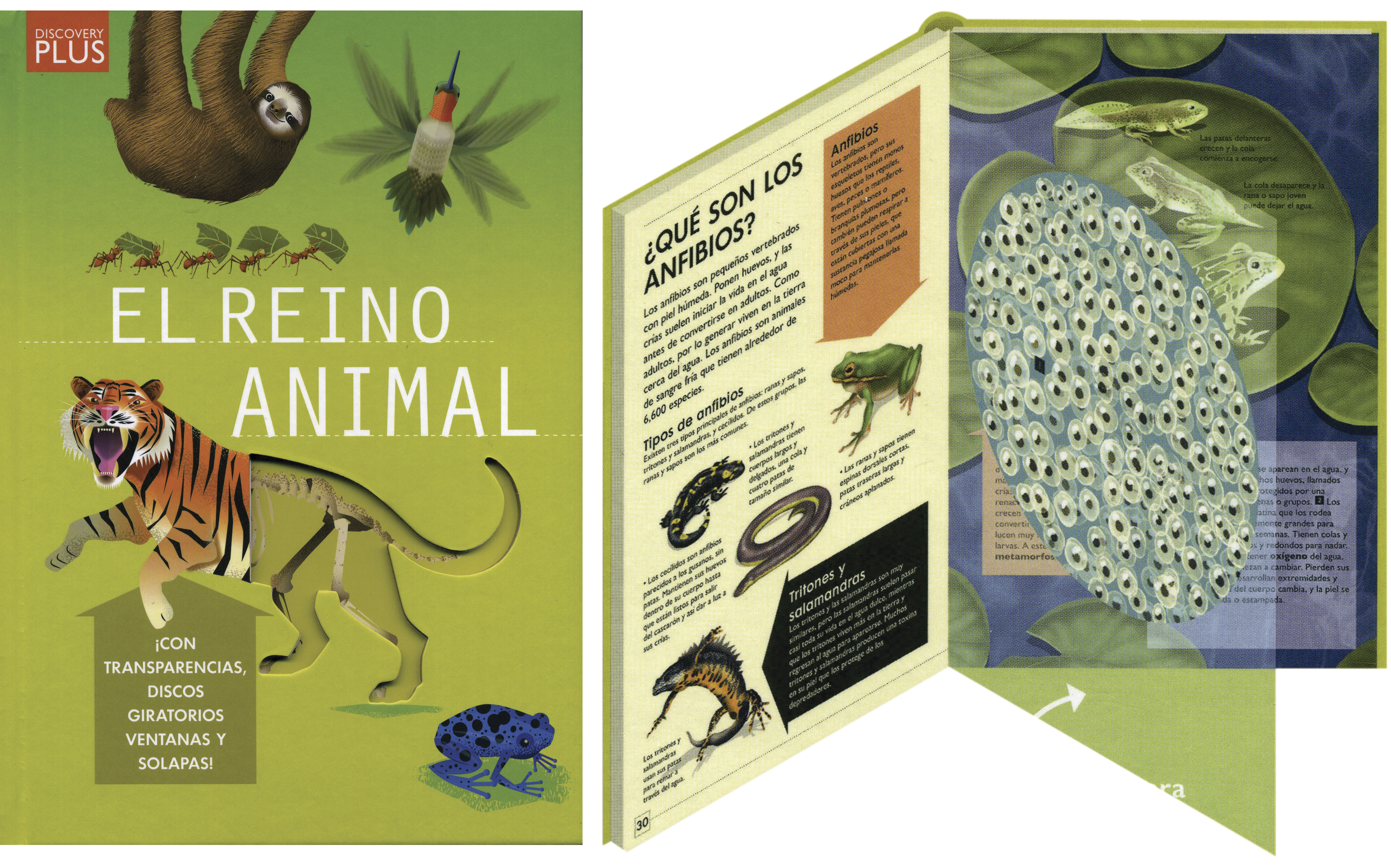 Discovery Plus: Reino Animal