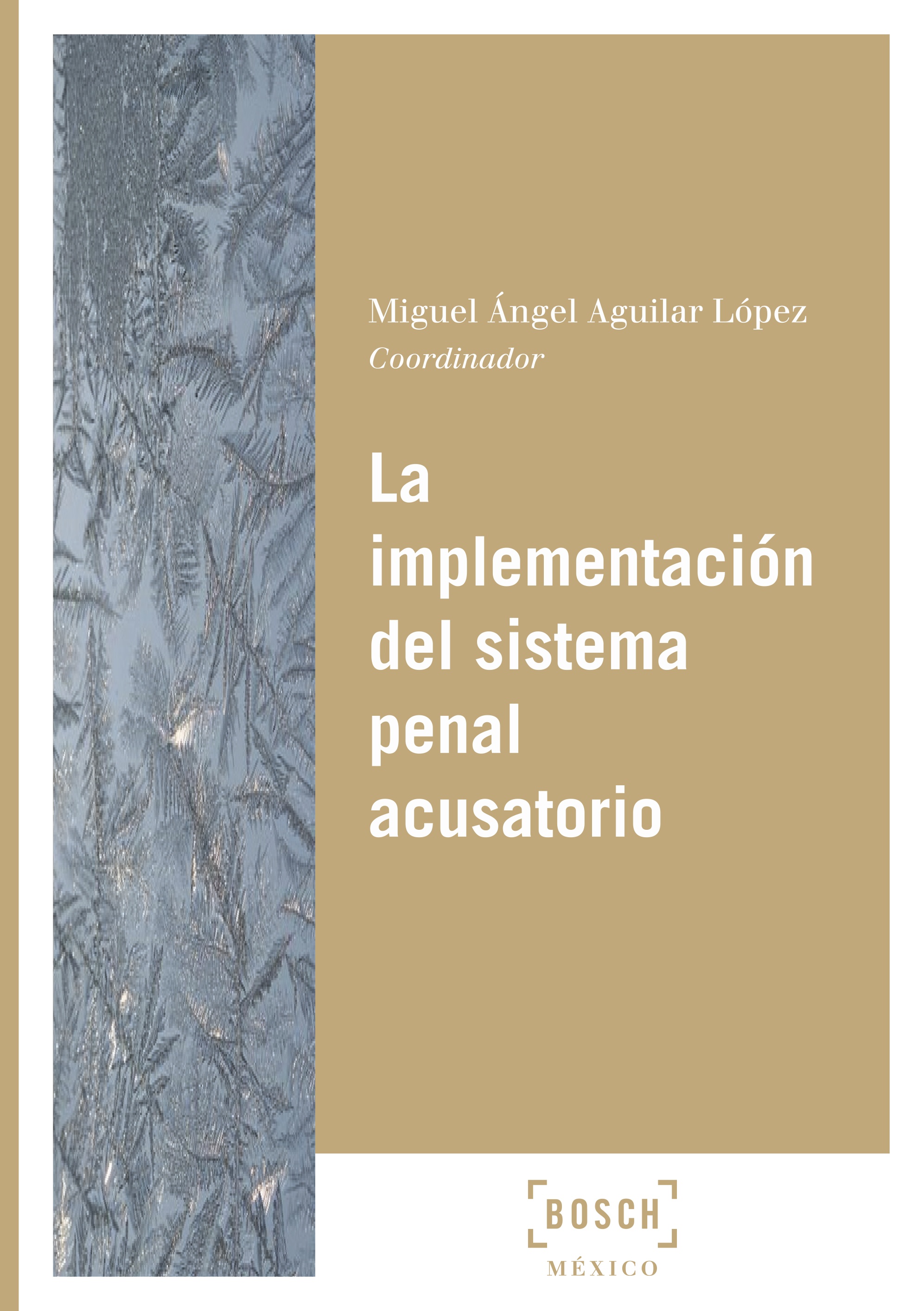 La implementación del sistema penal acusatorio