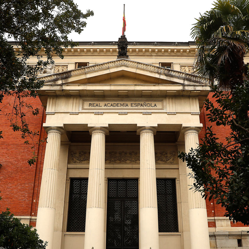 El bochorno de la RAE y sus 11 mujeres académicas