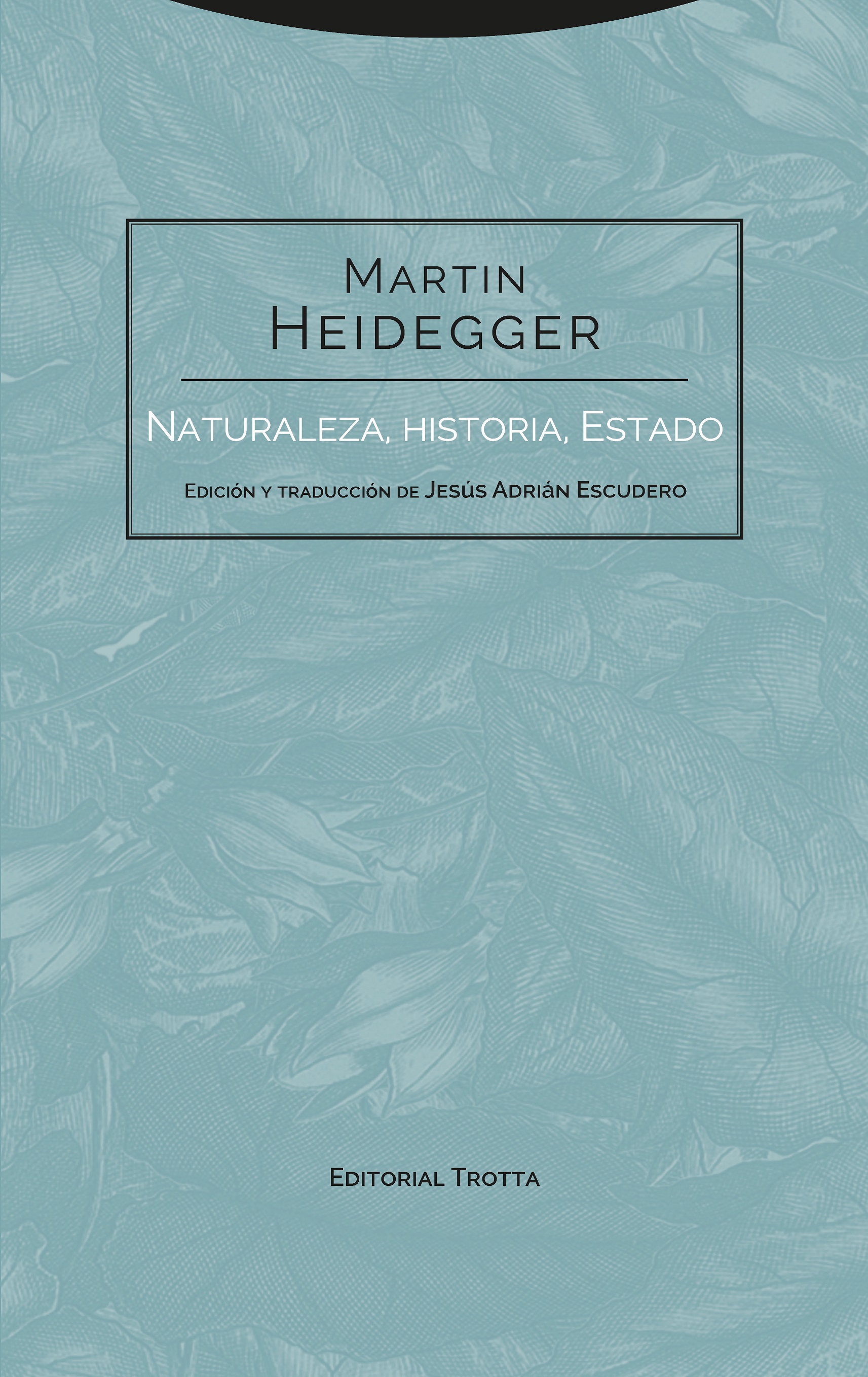 Naturaleza, historia, Estado