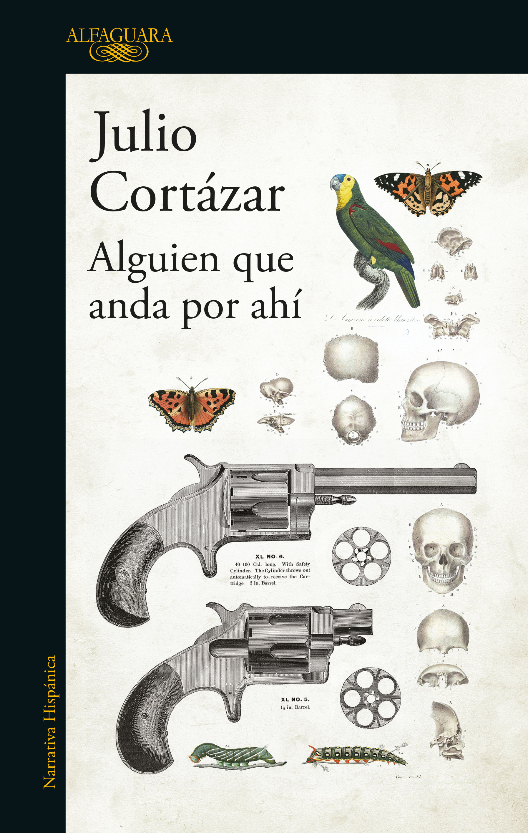 Alguien que anda por ahí