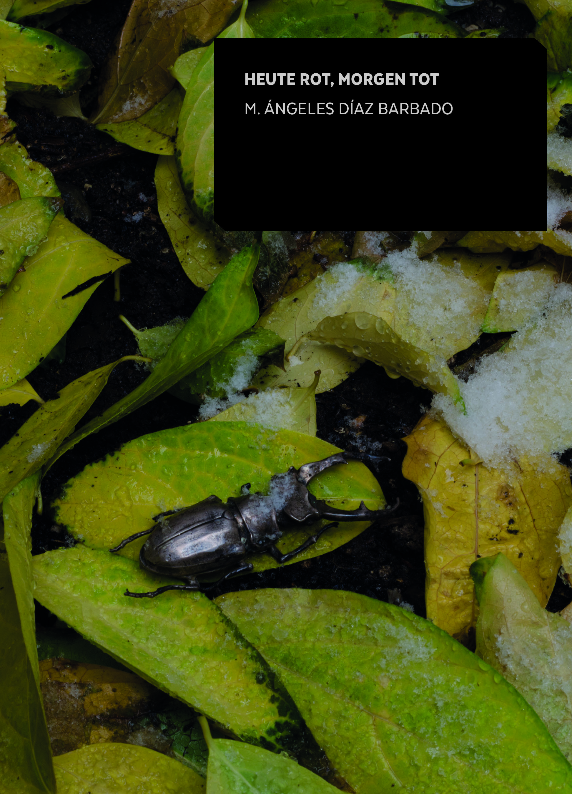 Heute rot, morgen tot