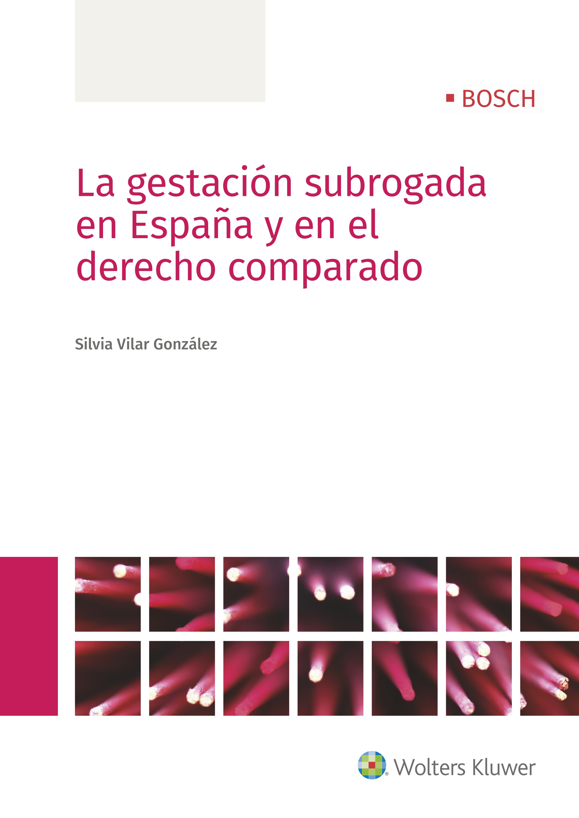 La gestación subrogada en España y en el derecho comparado