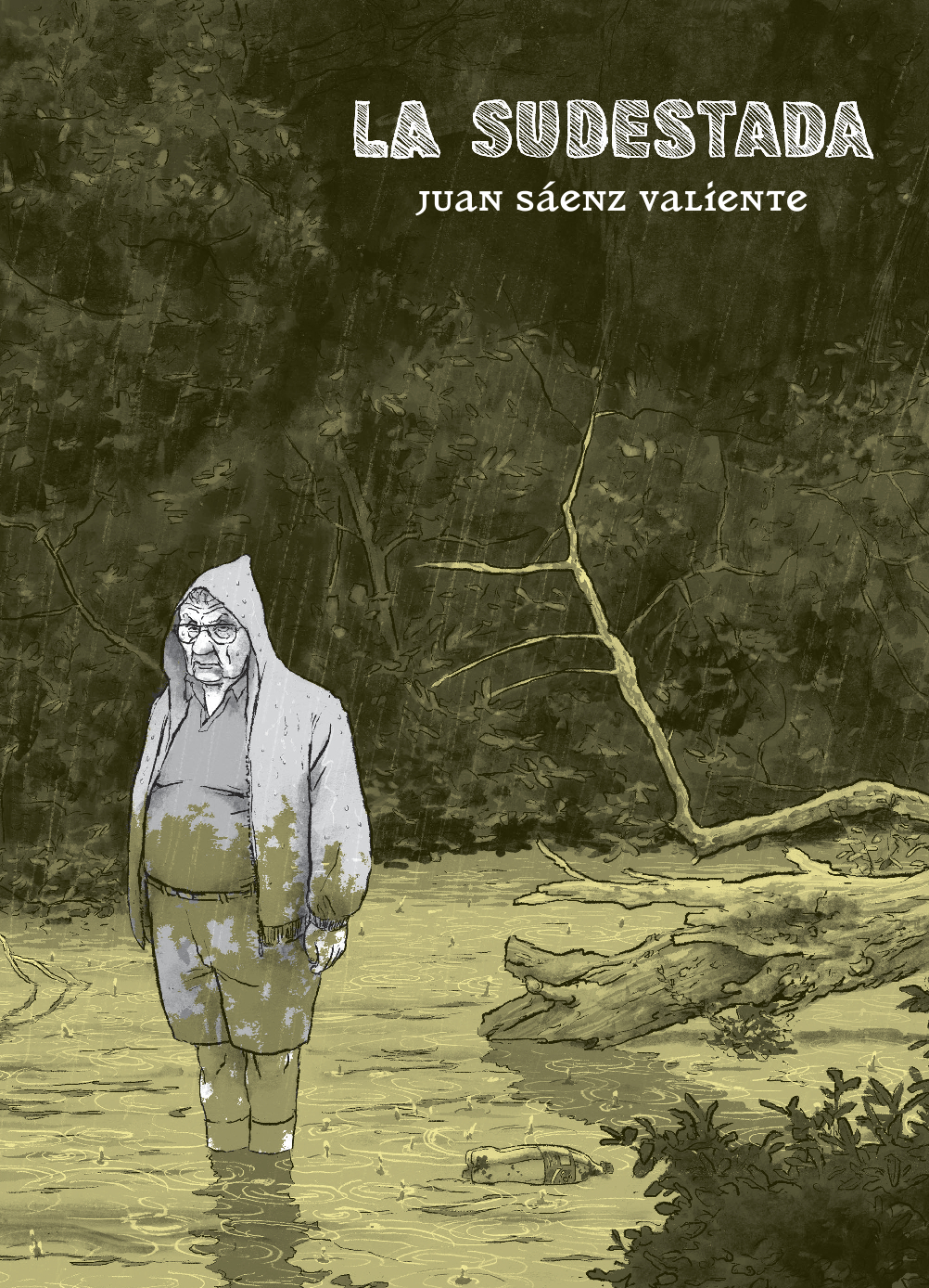 La sudestada