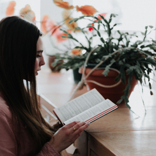 6 libros que tienes que leer en mayo