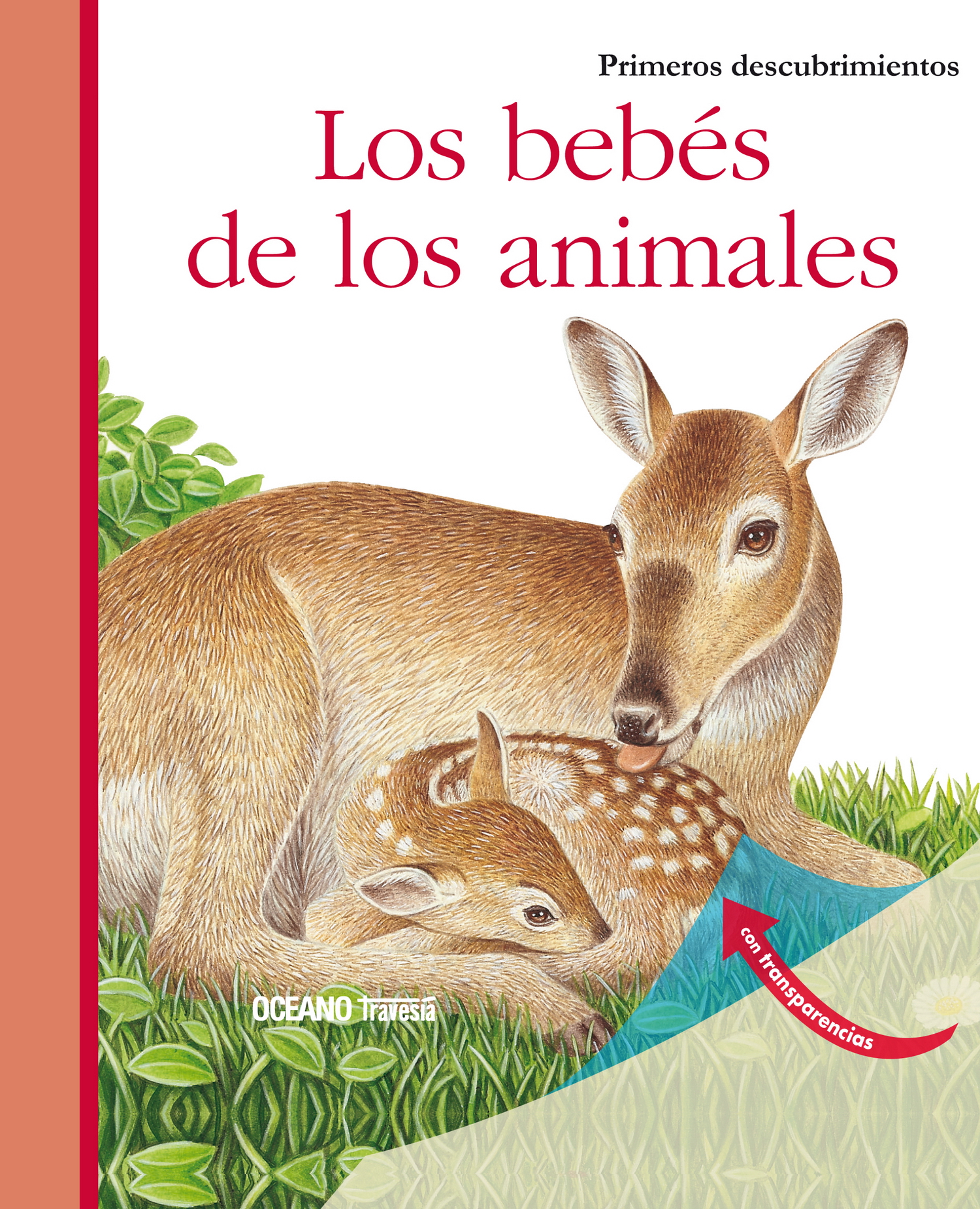 Los bebés de los animales