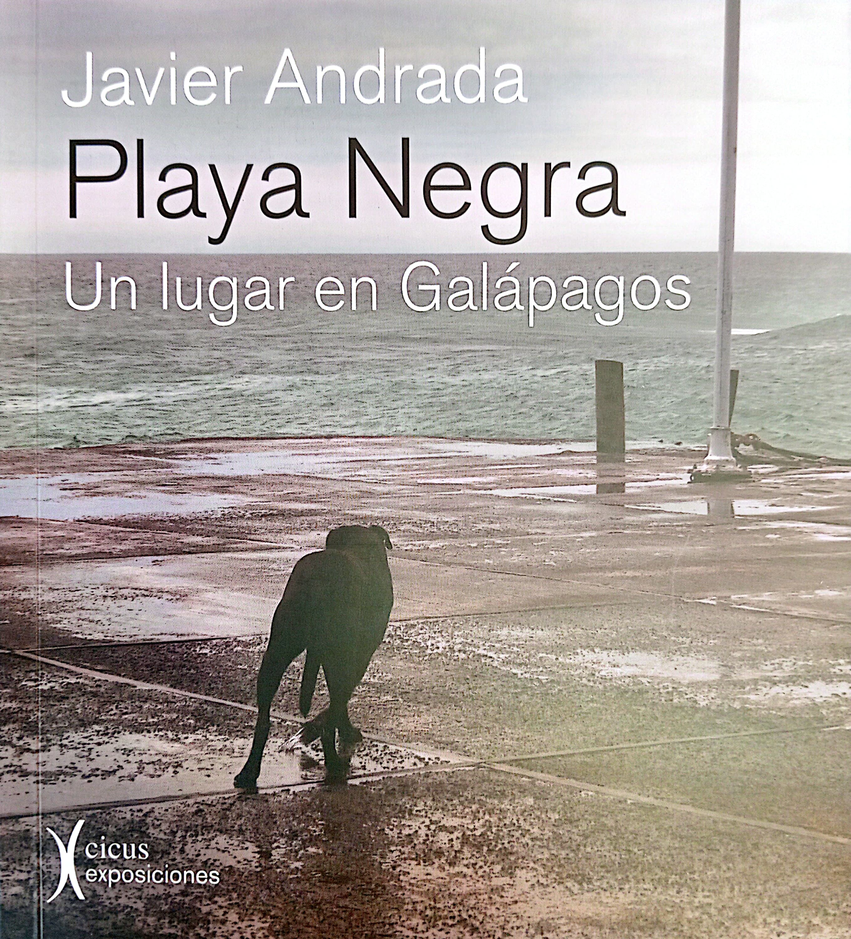 Playa negra